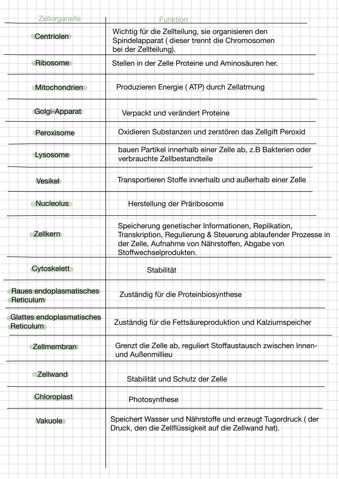 # BIOLOGIE
## Zellorganellen
Zellorganellen sind spezialisierte Untereinheiten einer Zelle, welche von einer Membran umgeben sind. Sie erf