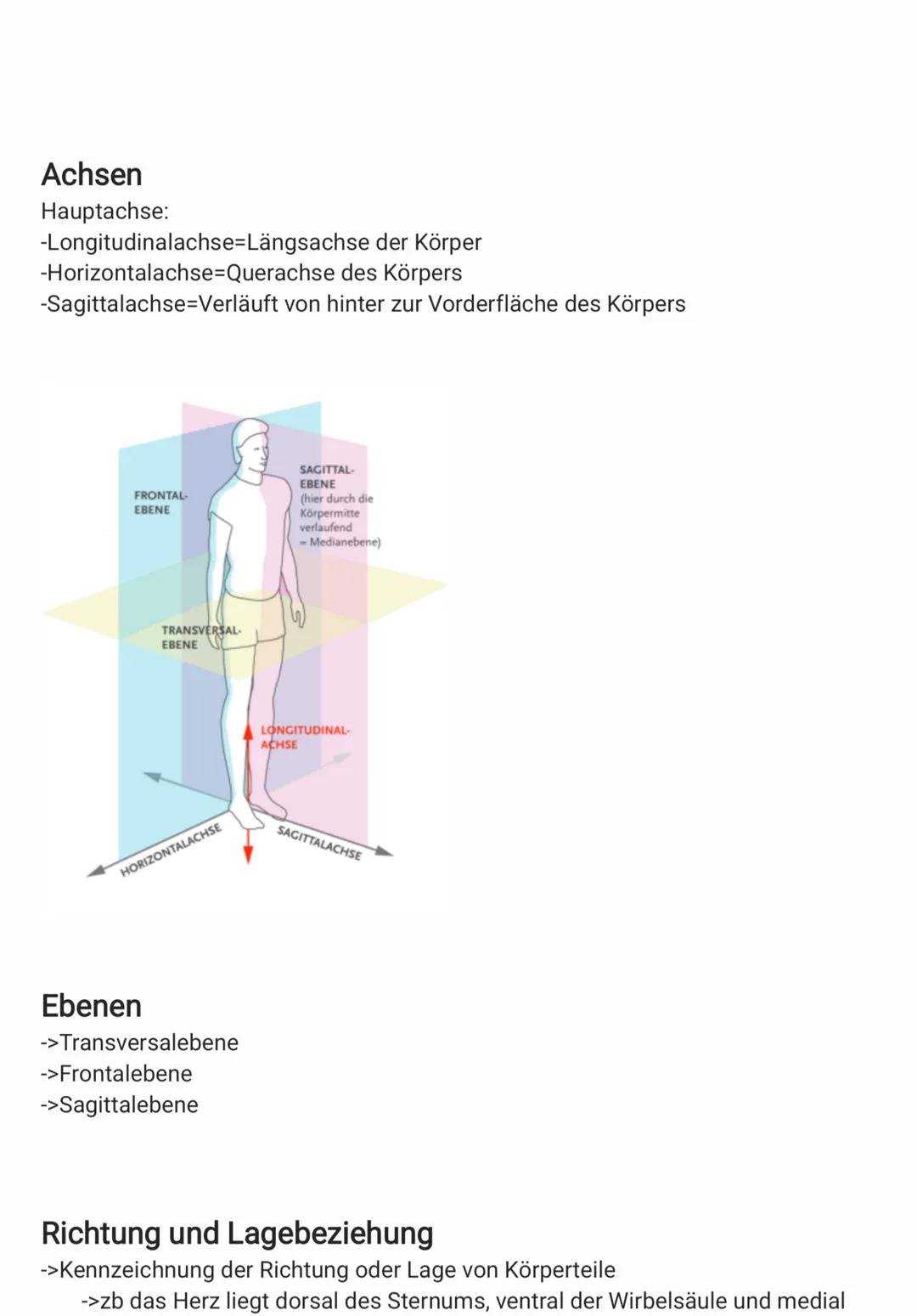 # Anatomische Grundposition
->Grundposition
->Stehend
->Blickrichtung nach vorne
->Handfläche zeigen nach vorne
->Daumen zeigen vom Körper