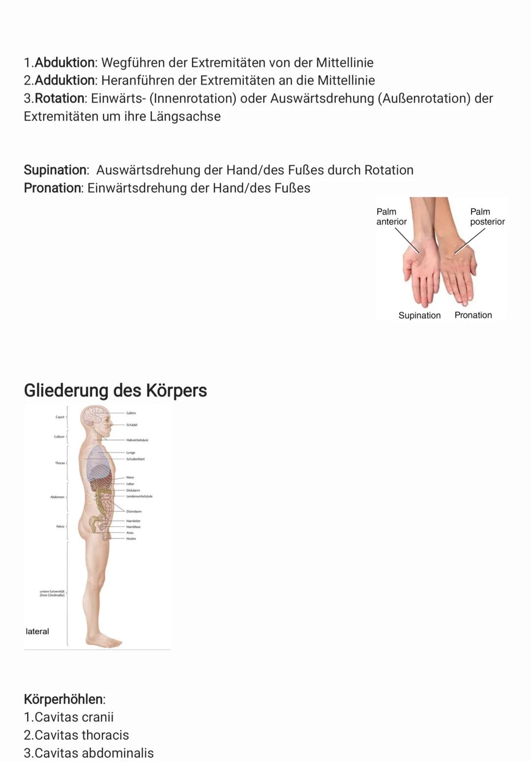 # Anatomische Grundposition
->Grundposition
->Stehend
->Blickrichtung nach vorne
->Handfläche zeigen nach vorne
->Daumen zeigen vom Körper
