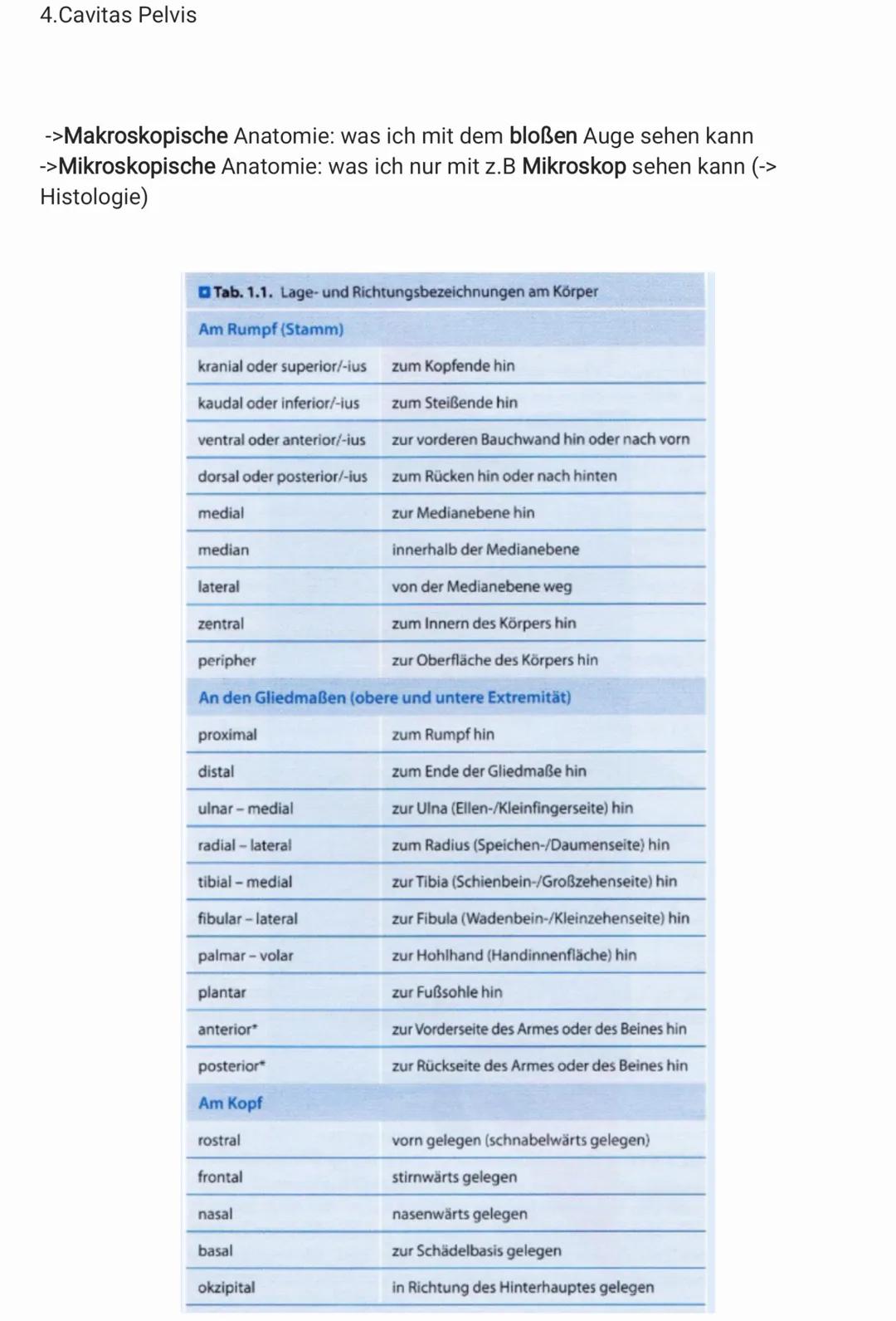 # Anatomische Grundposition
->Grundposition
->Stehend
->Blickrichtung nach vorne
->Handfläche zeigen nach vorne
->Daumen zeigen vom Körper