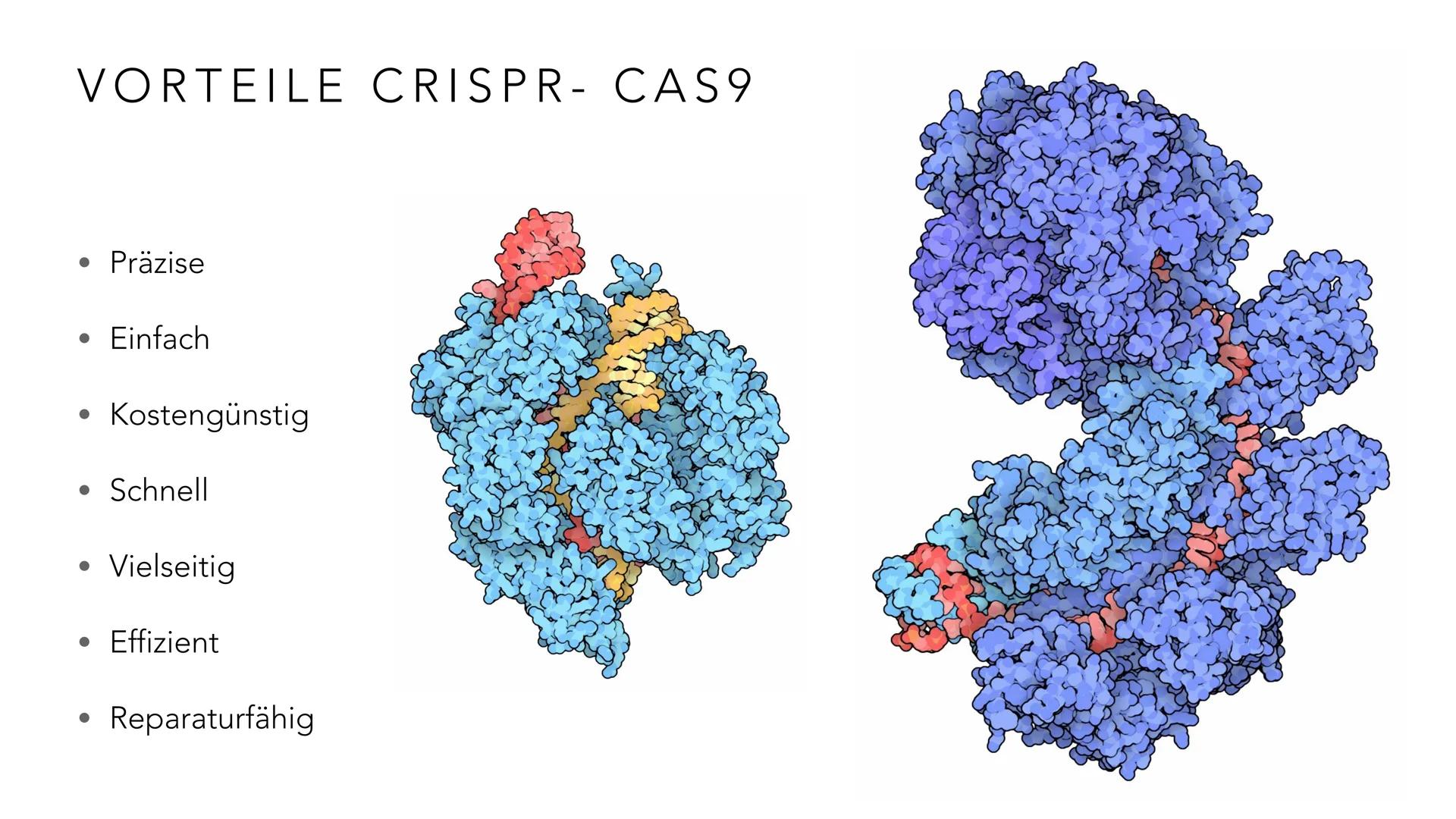 # PRÄZISE GENTECHNOLOGIE
# CRISPR CAS 9 INHALT
• Einleitung
• Geschichte & Entdeckung
• Funktionsweise von CRISPR-Cas9
• Anwendung des
