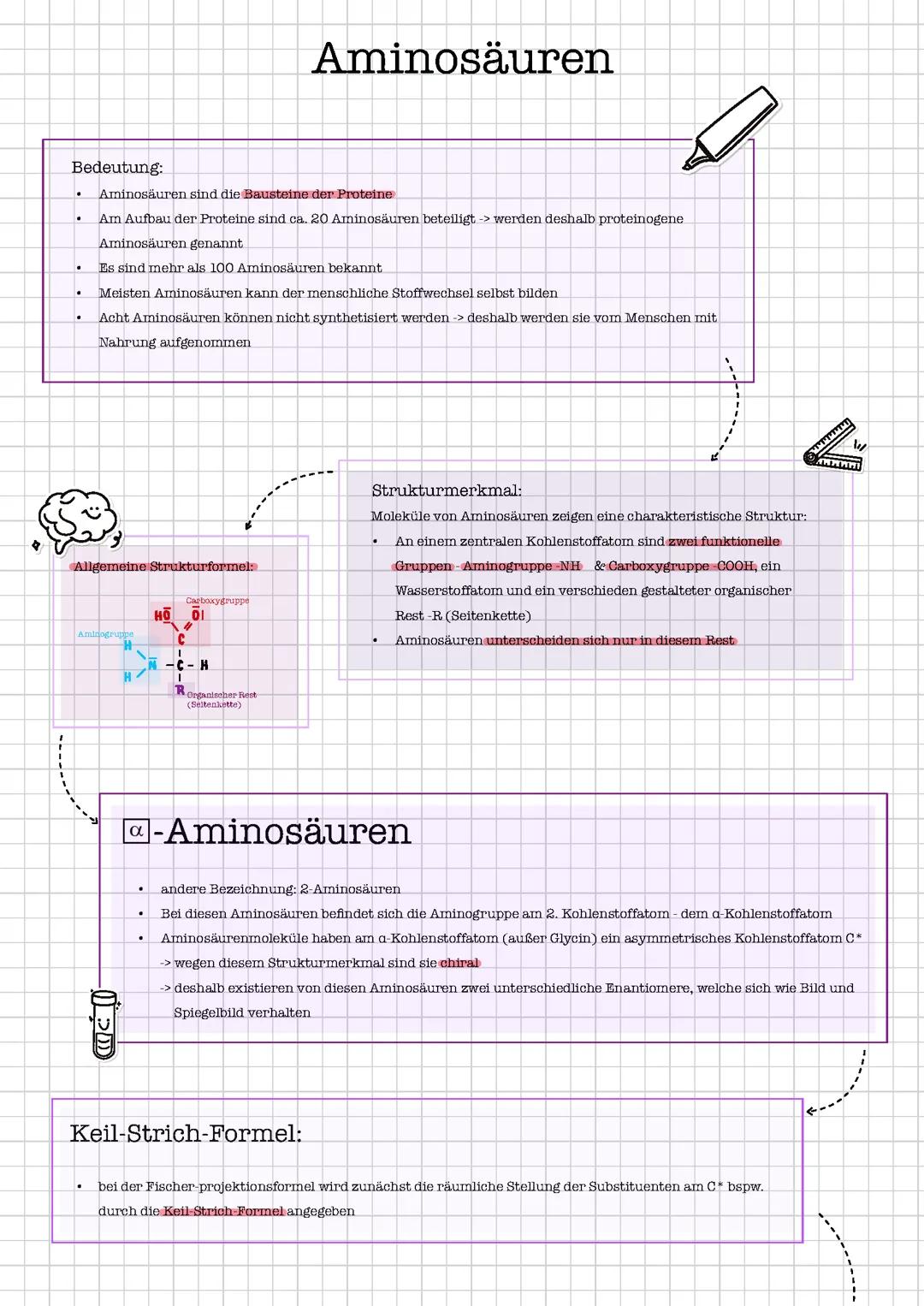 Alles über Aminosäuren – Einfach erklärt