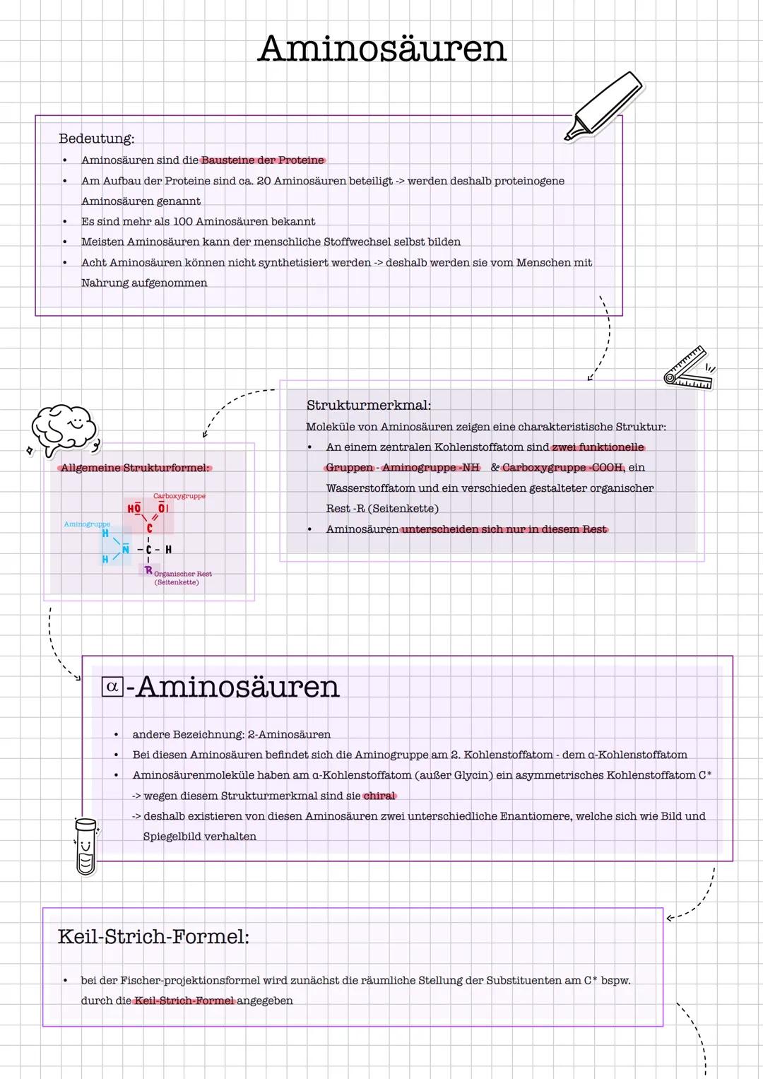 # Aminosäuren
**Bedeutung:**
* Aminosäuren sind die **Bausteine der Proteine**
* Am Aufbau der Proteine sind ca. 20 Aminosäuren beteiligt