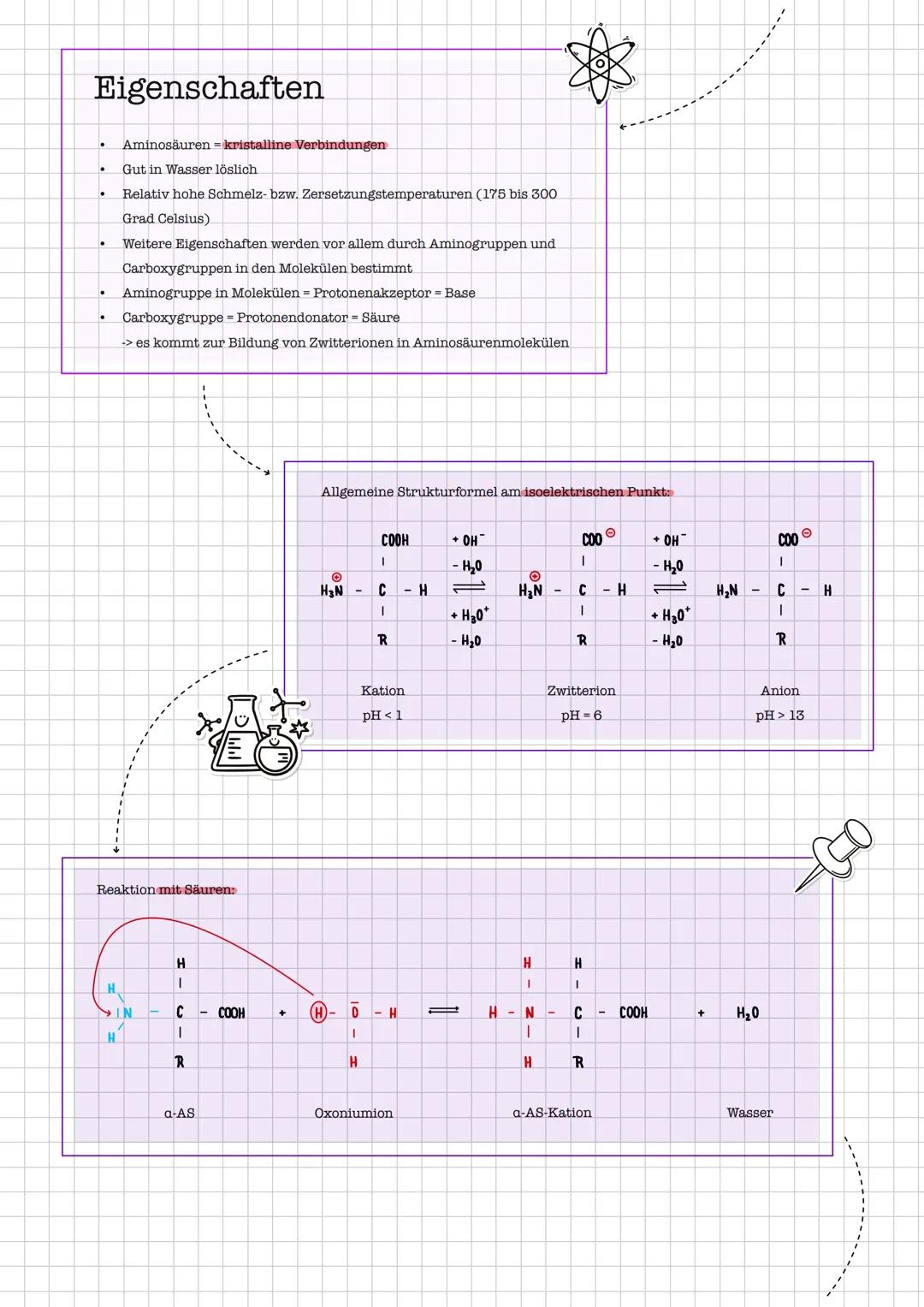 # Aminosäuren
**Bedeutung:**
* Aminosäuren sind die **Bausteine der Proteine**
* Am Aufbau der Proteine sind ca. 20 Aminosäuren beteiligt