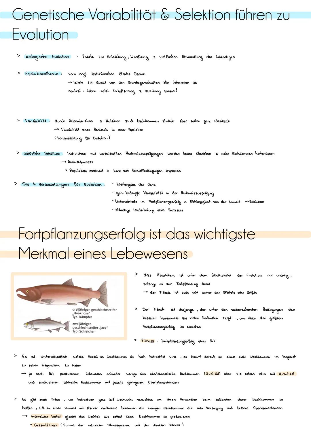 # Homologie und Analogie
Homologien:
> Homologien sind Ähnlichkeiten in Herkmalen oder Strukturen, die aul eine gemeinsame Abslammung (gen