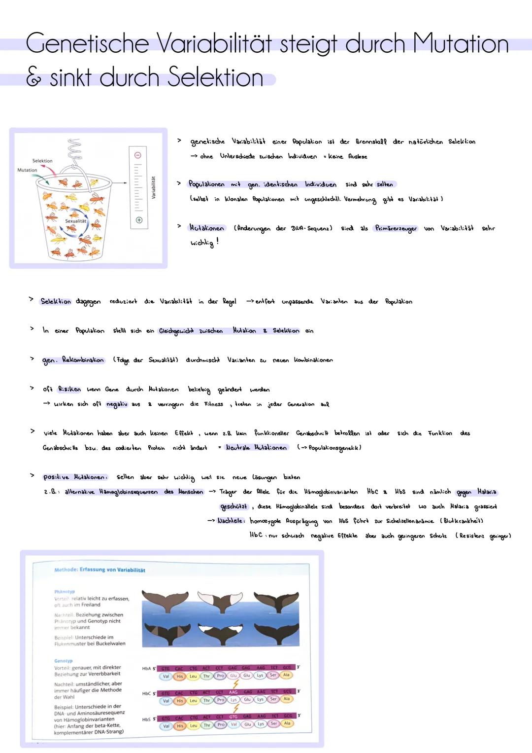 # Homologie und Analogie
Homologien:
> Homologien sind Ähnlichkeiten in Herkmalen oder Strukturen, die aul eine gemeinsame Abslammung (gen