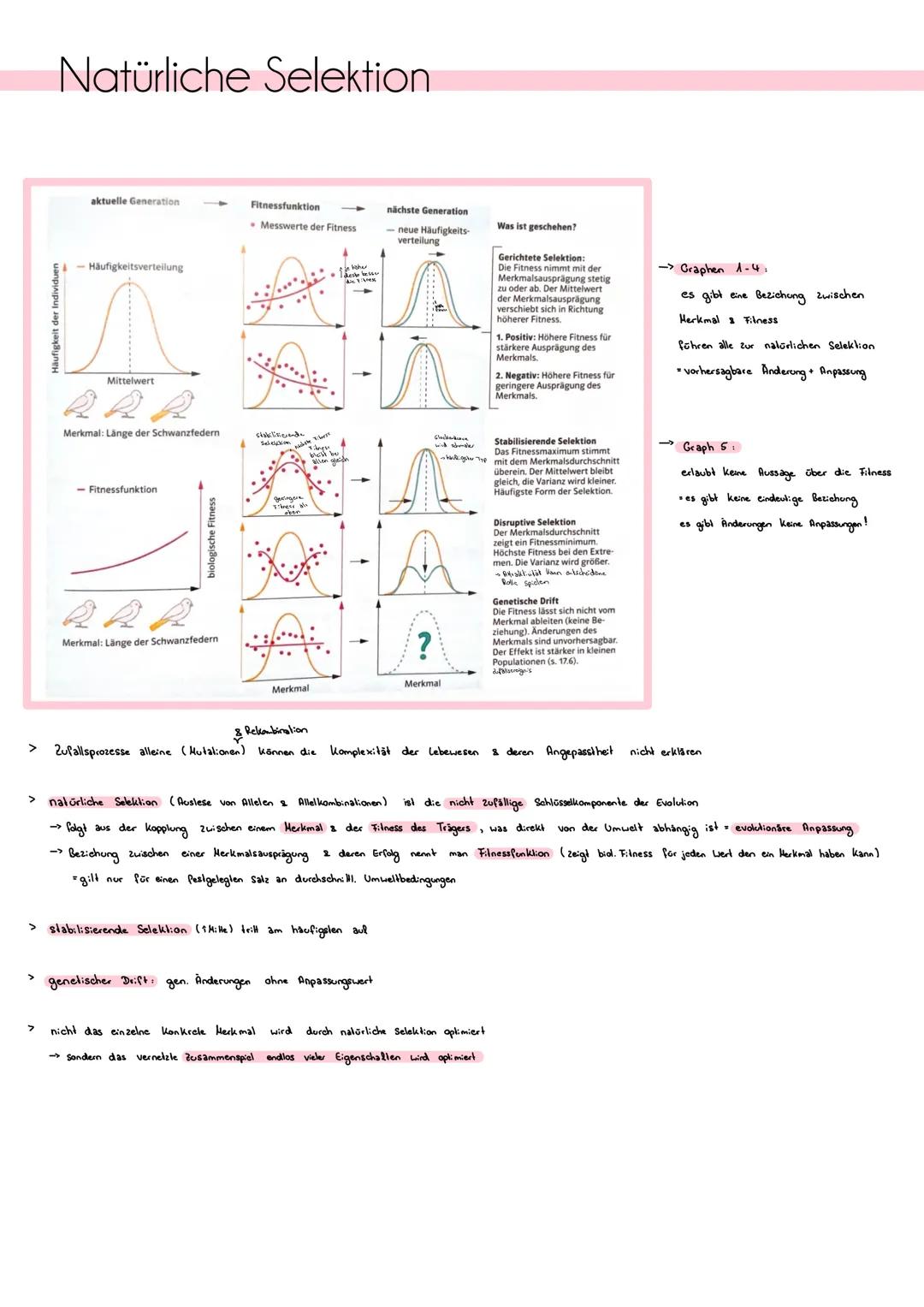 # Homologie und Analogie
Homologien:
> Homologien sind Ähnlichkeiten in Herkmalen oder Strukturen, die aul eine gemeinsame Abslammung (gen