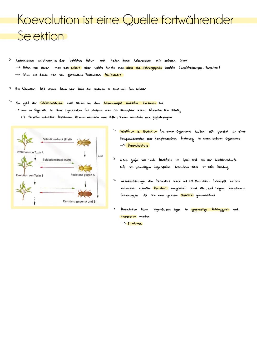 # Homologie und Analogie
Homologien:
> Homologien sind Ähnlichkeiten in Herkmalen oder Strukturen, die aul eine gemeinsame Abslammung (gen