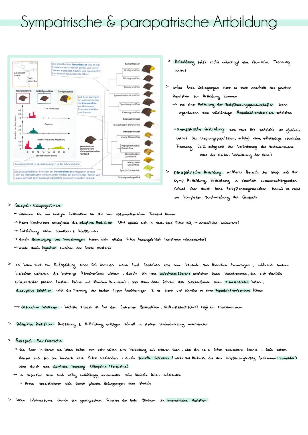 # Homologie und Analogie
Homologien:
> Homologien sind Ähnlichkeiten in Herkmalen oder Strukturen, die aul eine gemeinsame Abslammung (gen