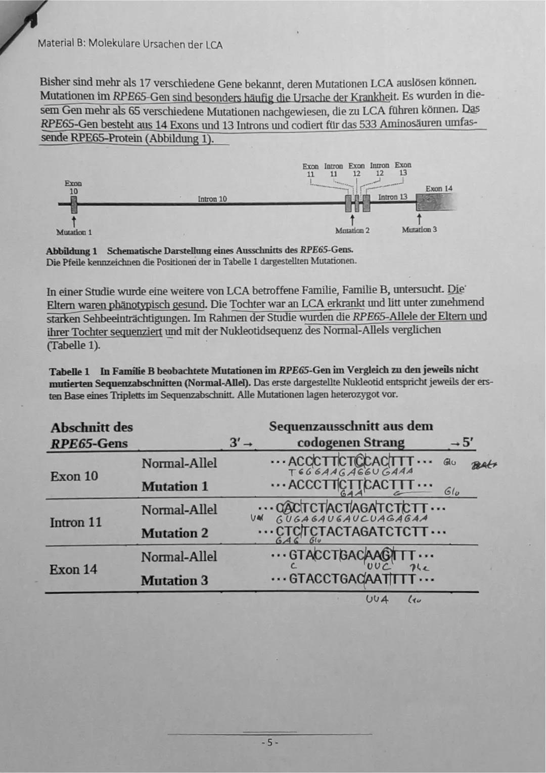 # Name:
Dauer: 135 Minuten
Zugelassene Hilfsmittel: Liste der Operatoren
2. Klausur 2022/23
Biologie, Leistungskurs
**Aufgabe 1:**
**Th