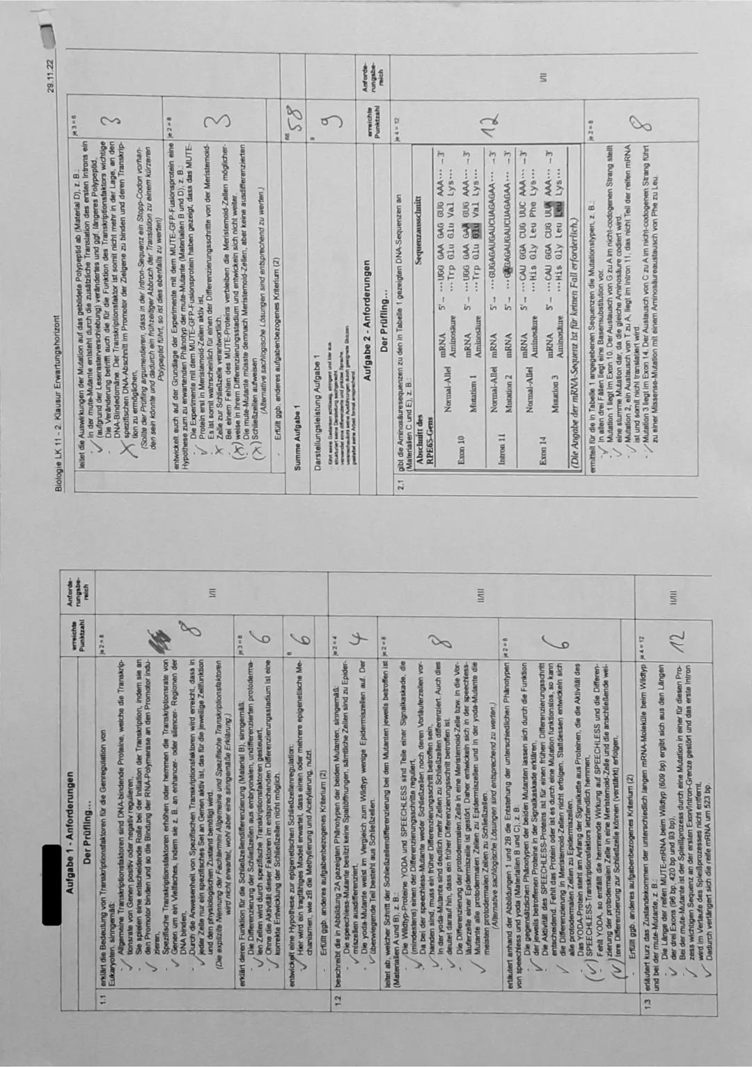 # Name:
Dauer: 135 Minuten
Zugelassene Hilfsmittel: Liste der Operatoren
2. Klausur 2022/23
Biologie, Leistungskurs
**Aufgabe 1:**
**Th