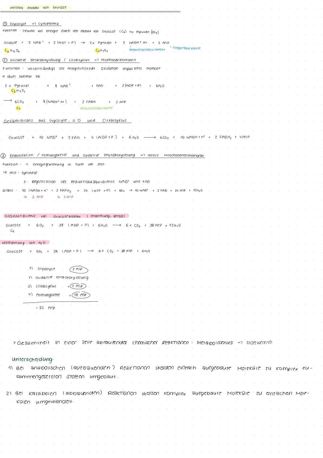 Leben und Energie
1) Energie im biologischen kontext
Energieer neitung
die summe aus nutzbarer
energie und wärme bipibt immer
constant
Four