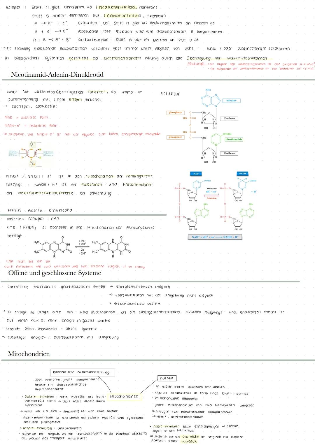 Leben und Energie
1) Energie im biologischen kontext
Energieer neitung
die summe aus nutzbarer
energie und wärme bipibt immer
constant
Four