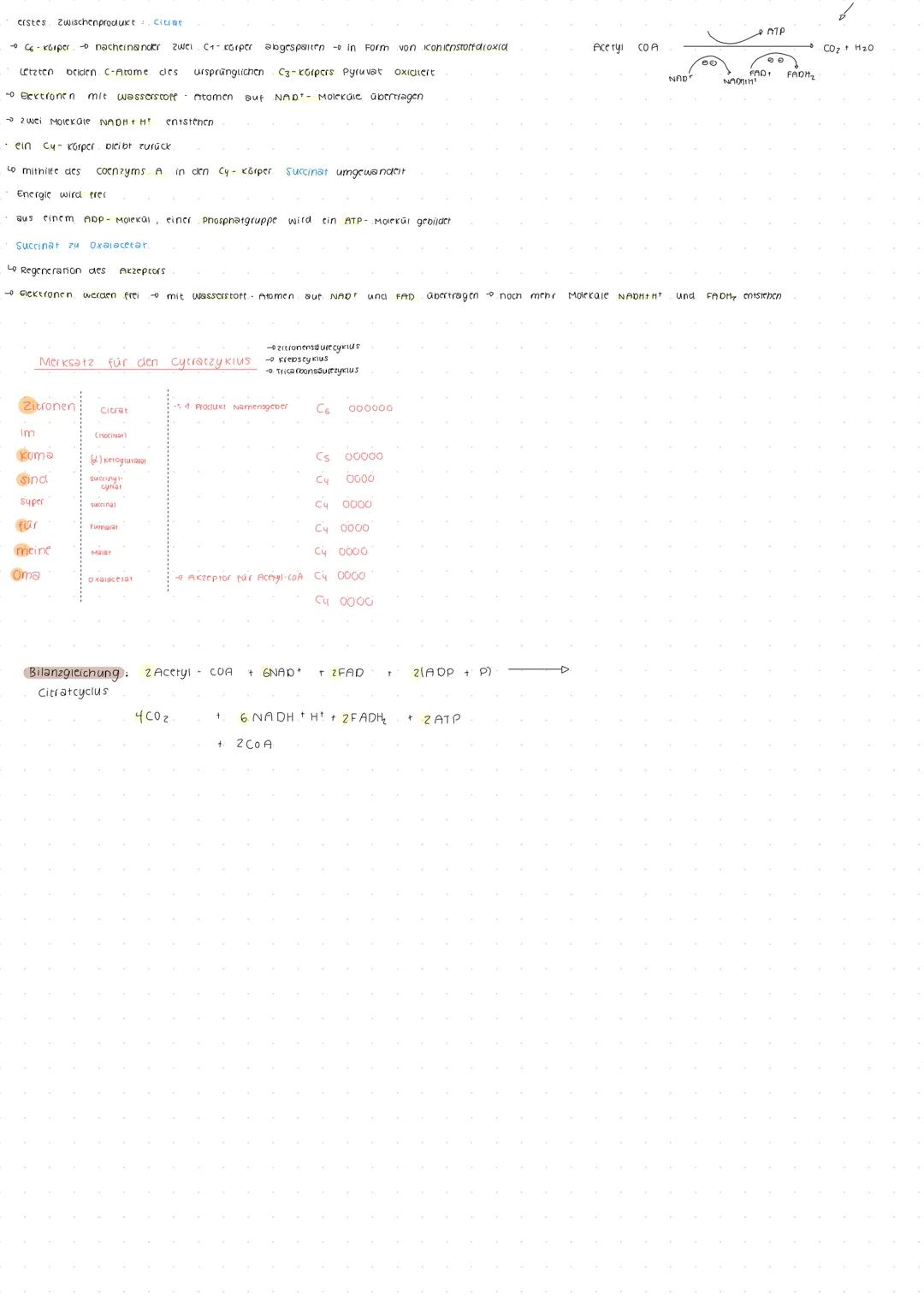 Leben und Energie
1) Energie im biologischen kontext
Energieer neitung
die summe aus nutzbarer
energie und wärme bipibt immer
constant
Four