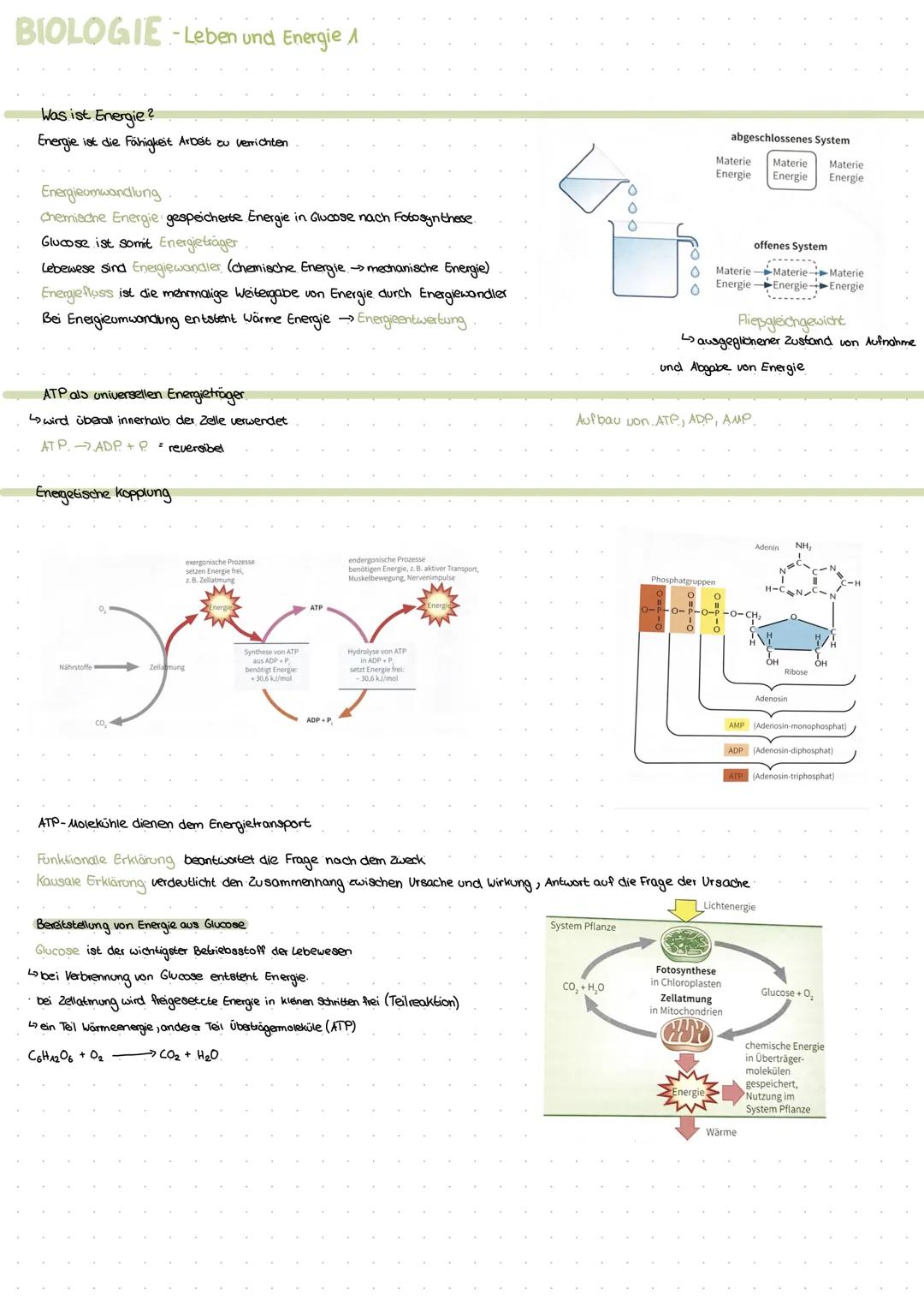 Biologie Abi - Leben und Energie