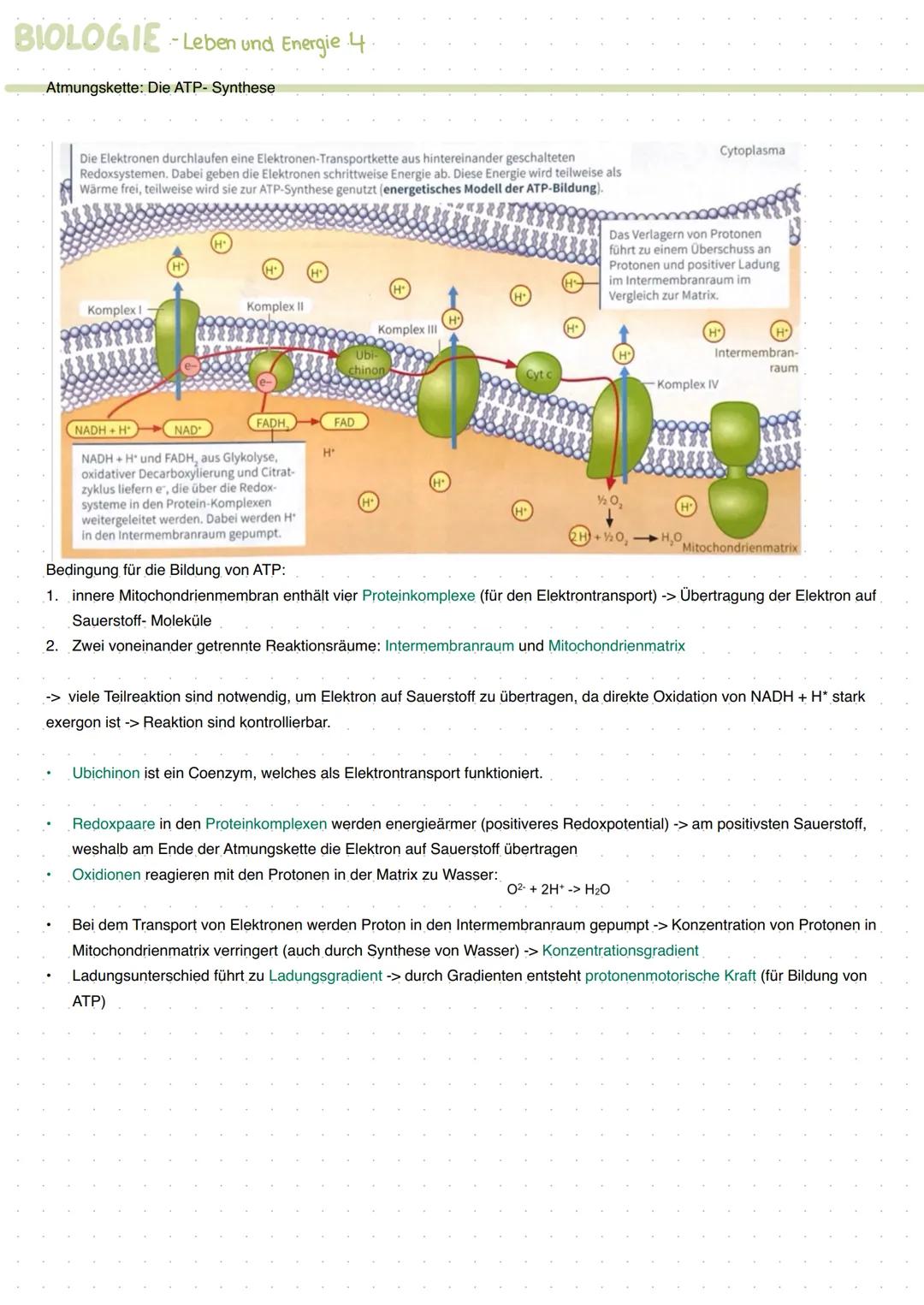 # BIOLOGIE-Leben und Energie A
Was ist Energie?
Energie ist die Fähigkeit Arbat zu verrichten
Energieumwandlung
Chemische Energie gespeich