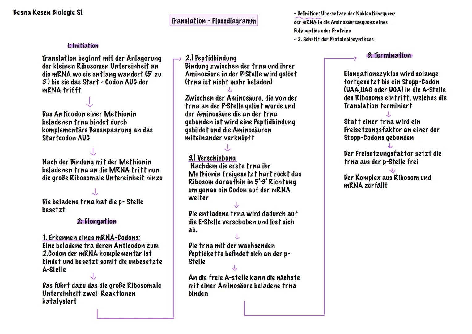 # Besna Kesen Biologie S1
# Translation - Flussdiagramm
- Definition: Übersetzen der Nukleotidsequenz der mRNA in die Aminosäuresequenz ei