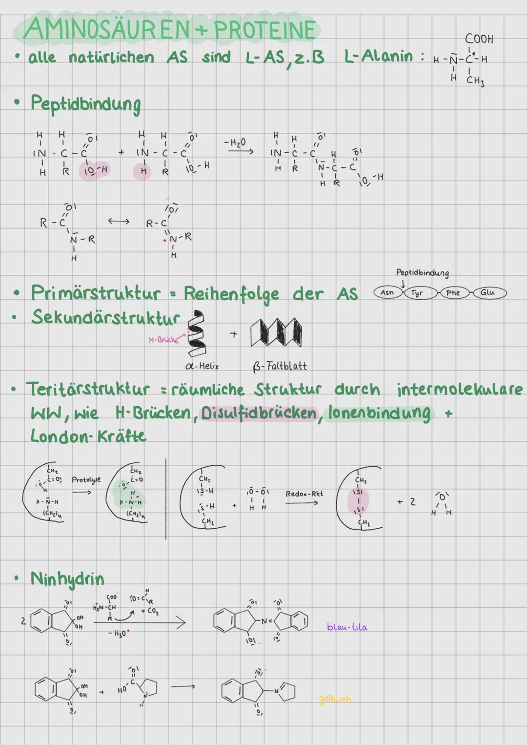 # CHEMISCHES GLEICHGEWICHT
chemisches Ggw.
Rkt. laufen nie vollständig ab, da sie umkehrbar sind.
Nach einiger Zeit stellt sich das chemis