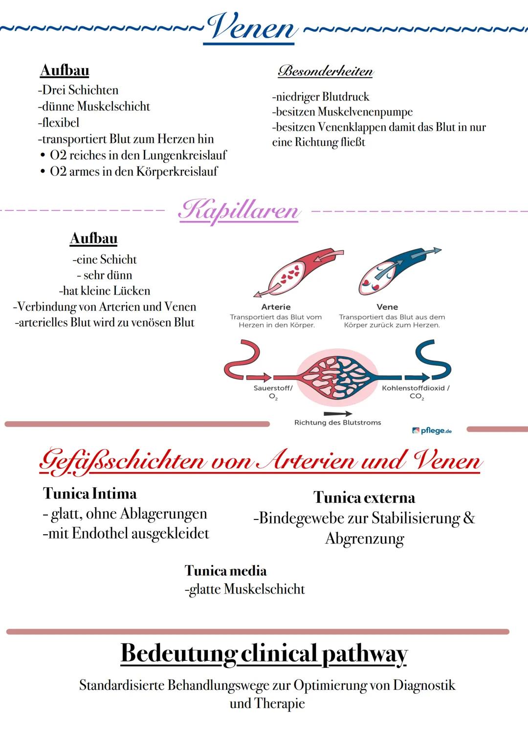 # Blutstrom Reihenfolge
Rechter Vorhof-> Trikuspidalklappe -> rechter Ventrikel ->
Pulmonalklappe -> Lungenarterien -> Lungen -> Lungenvene