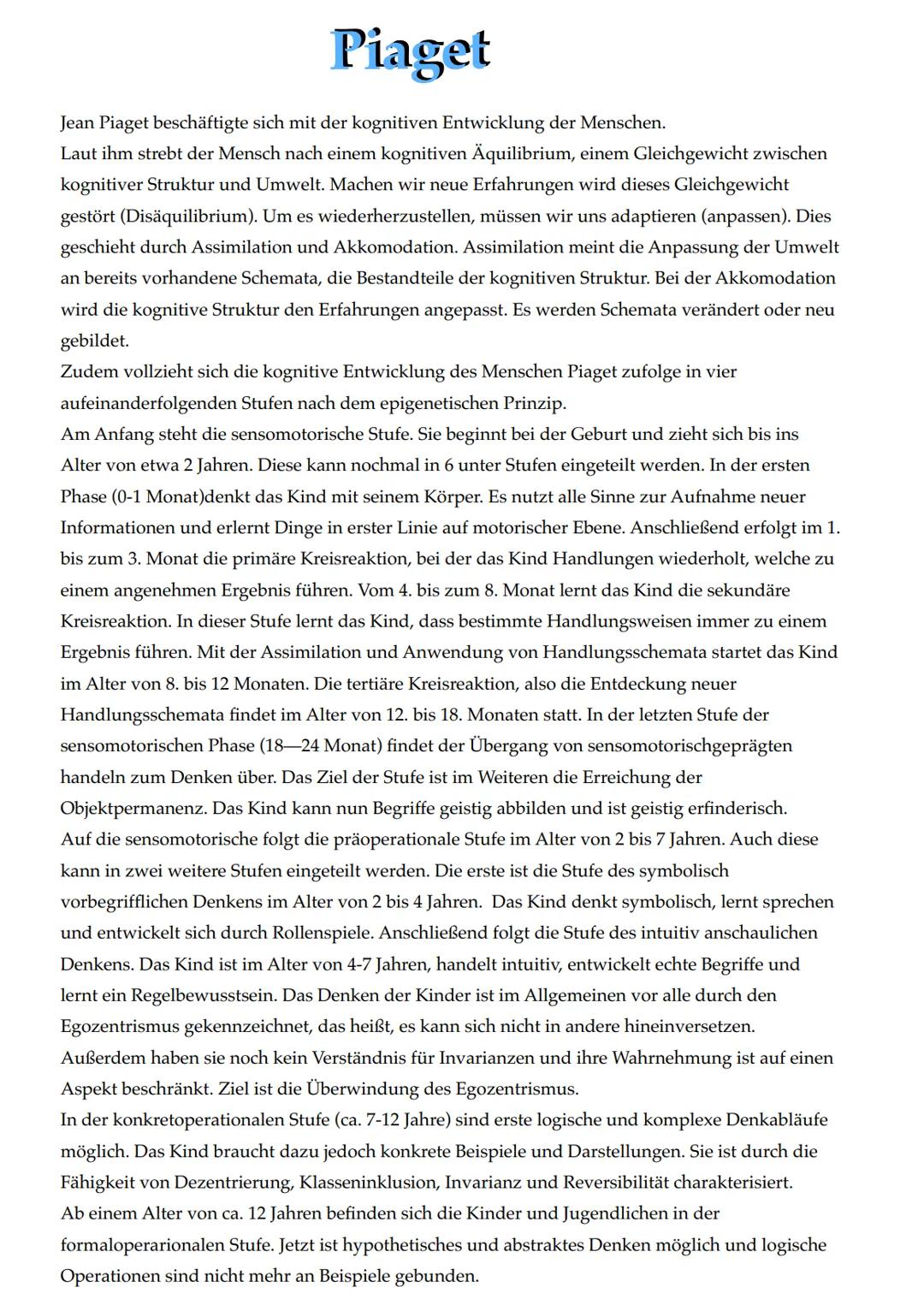 Theoriedarstellung Piaget