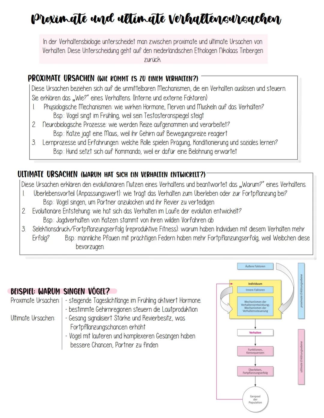 # Verhaltensbiologie - was ist Verhalten?
„Verhalten" wird von der Verhaltensbiologie verstanden als eine durch Gene und Lernen
beeinflusst
