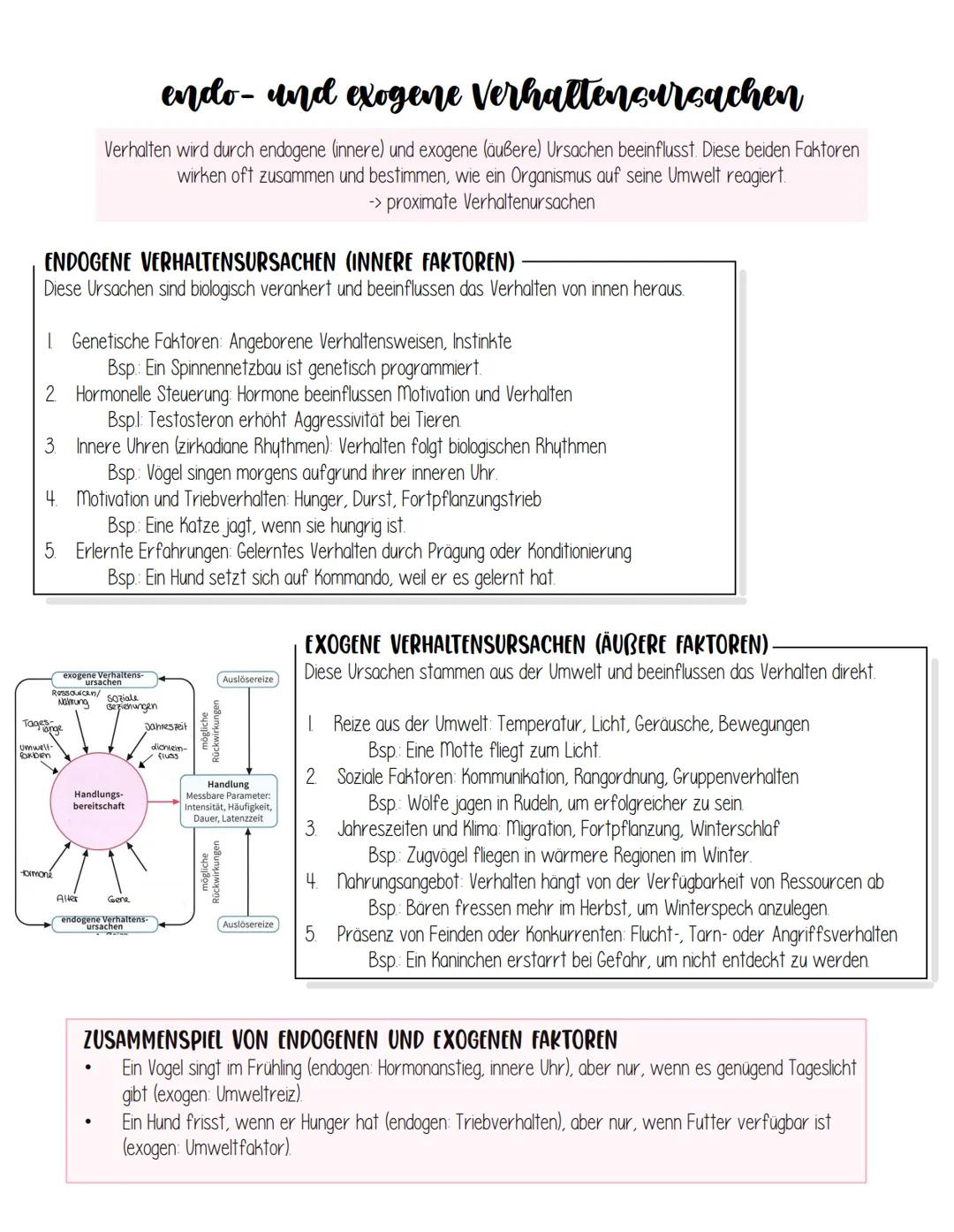 # Verhaltensbiologie - was ist Verhalten?
„Verhalten" wird von der Verhaltensbiologie verstanden als eine durch Gene und Lernen
beeinflusst