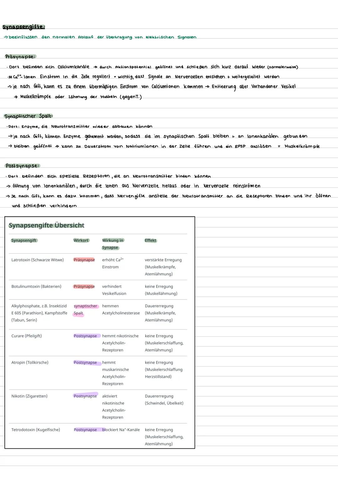 --- OCR Start ---
Bioklausur 32 - Neurobiologie
Aufbau Nervenzelle:
Nervenzelle (Motoneuron)
Gliazelle
(Hüllzelle)
Zellkörper
Mito
chondrium