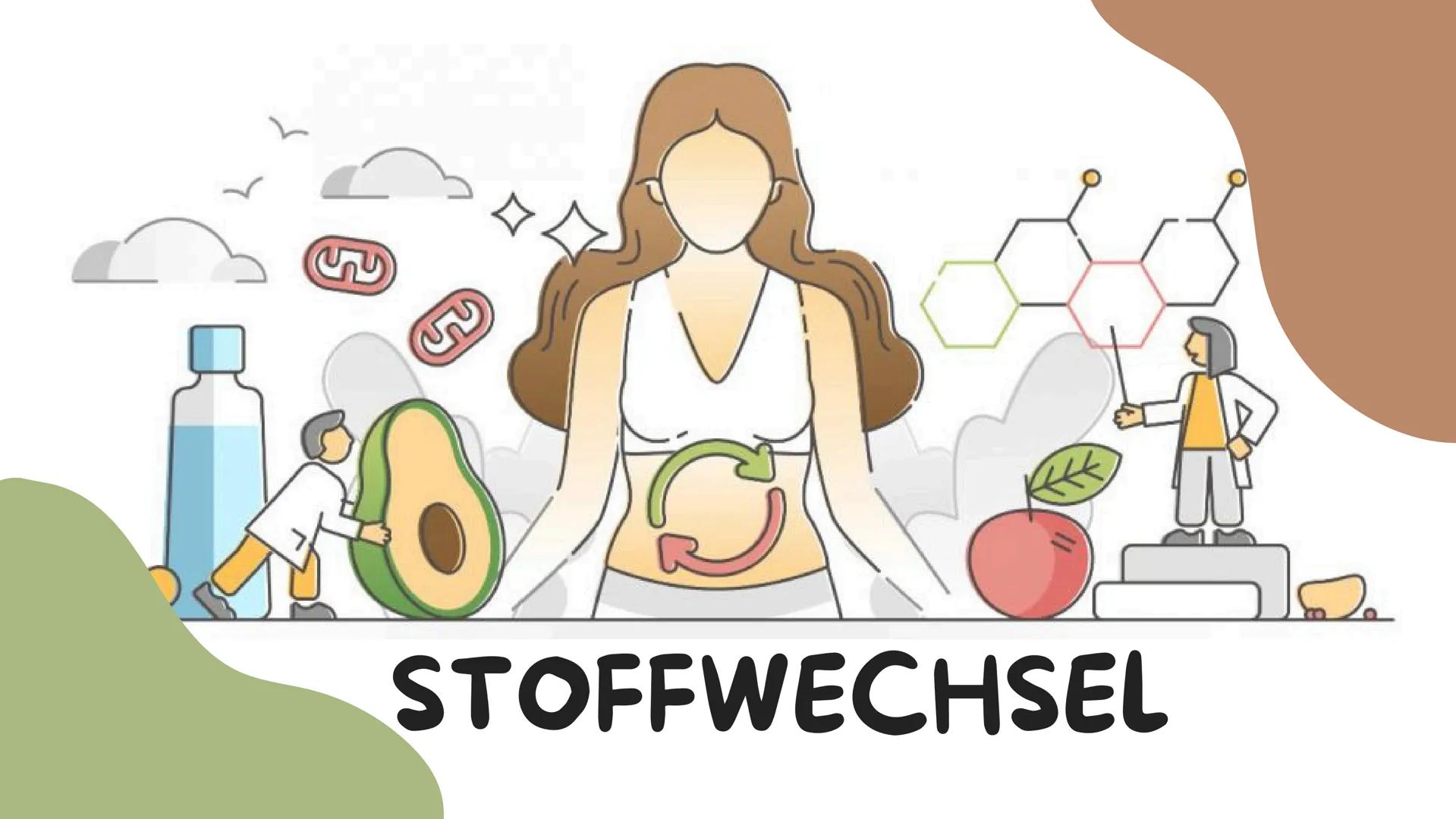 # STOFFWECHSEL # INHALTSVERZEICHNIS
ΟΙ Chemische Grundlagen
02 Aufbauender Stoffwechsel (Assimilation)
03 Abbauender Stoffwechsel (Dissim