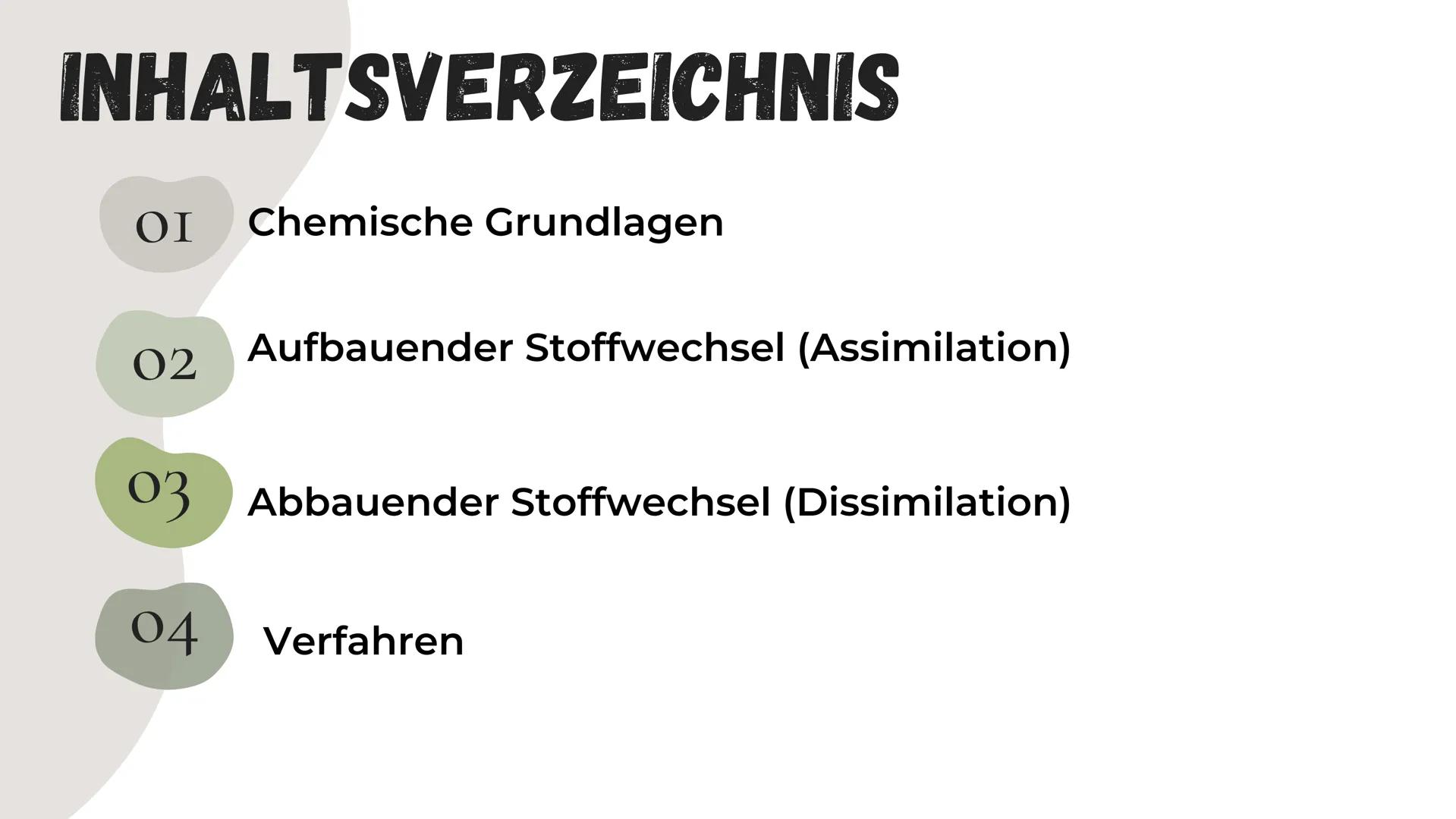 # STOFFWECHSEL # INHALTSVERZEICHNIS
ΟΙ Chemische Grundlagen
02 Aufbauender Stoffwechsel (Assimilation)
03 Abbauender Stoffwechsel (Dissim