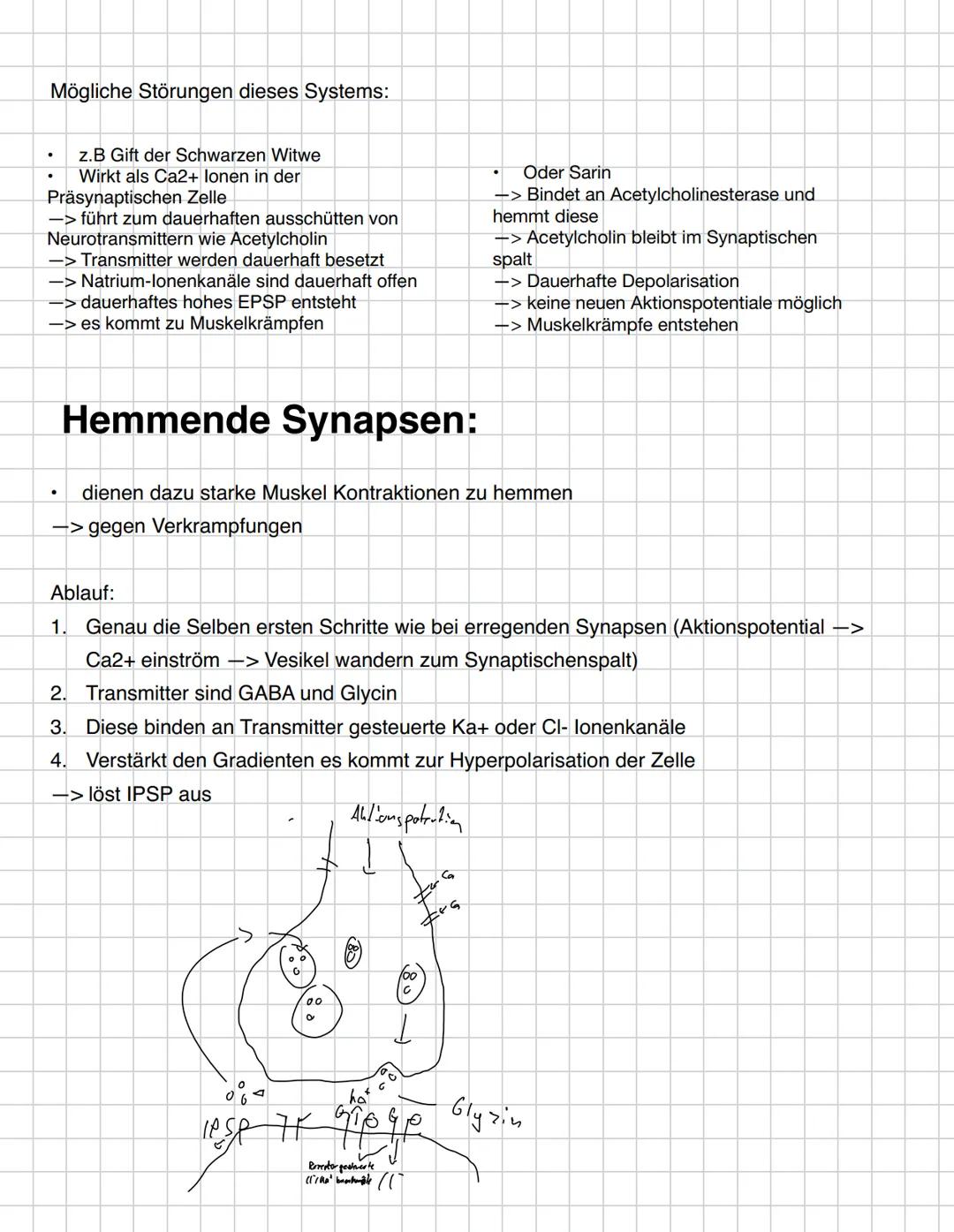 G
O
O
O
D
D --- OCR Start ---
Inhaltsbereich QP 4-Informationsverarbeitung in Lebewesen
4.1. Reize lösen in Sinneszellen Erregung aus.