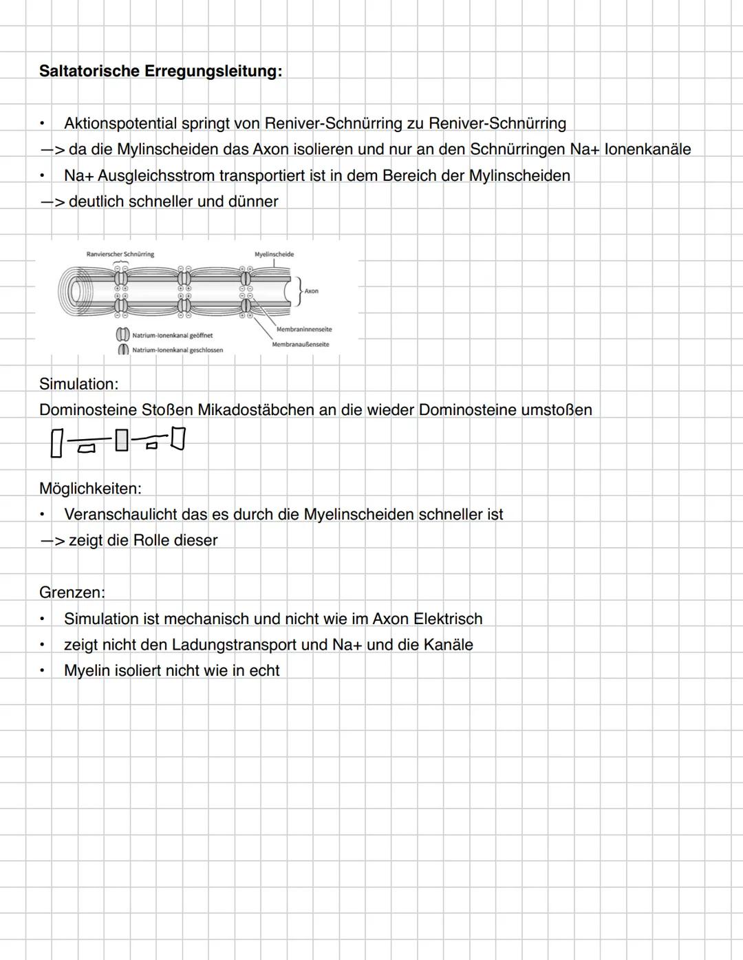 G
O
O
O
D
D --- OCR Start ---
Inhaltsbereich QP 4-Informationsverarbeitung in Lebewesen
4.1. Reize lösen in Sinneszellen Erregung aus.
