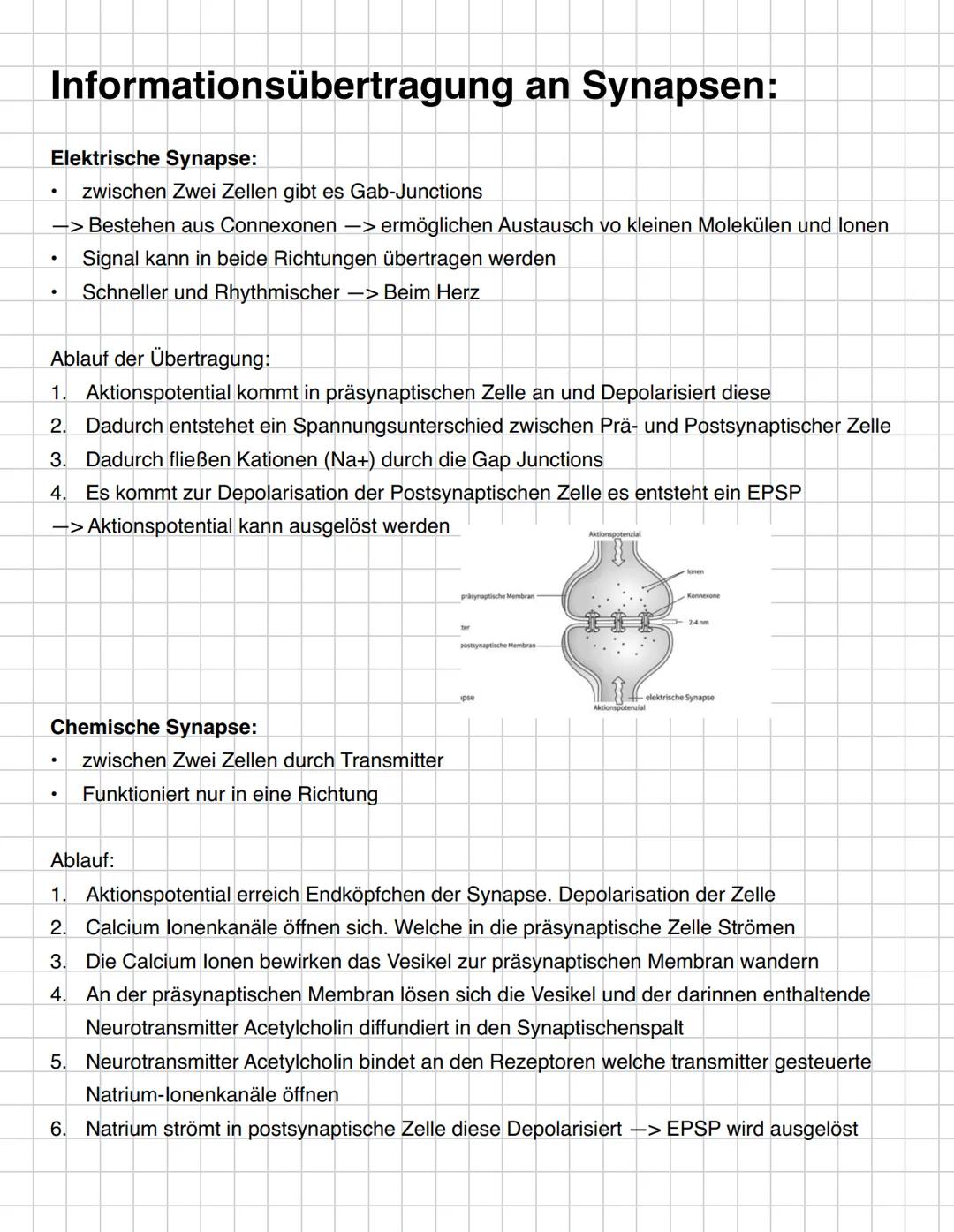 G
O
O
O
D
D --- OCR Start ---
Inhaltsbereich QP 4-Informationsverarbeitung in Lebewesen
4.1. Reize lösen in Sinneszellen Erregung aus.