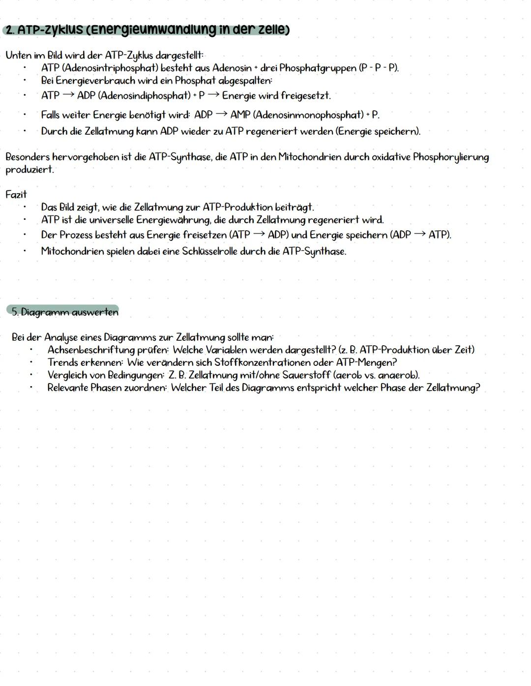 --- OCR Start ---
zellatmung und ATP
Aufbau Mitochondrium
Anhand von Schema beschreiben, was passiert im Mitochondrium basierend auf
den Sto