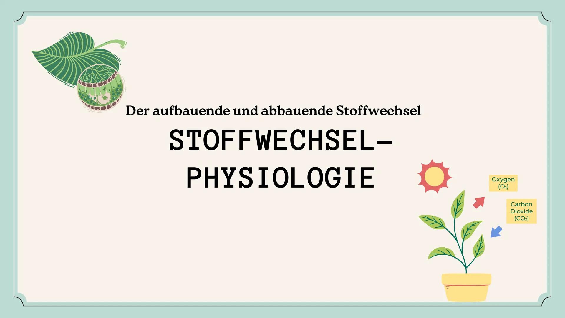 Der aufbauende und abbauende Stoffwechsel
STOFFWECHSEL-
PHYSIOLOGIE
Oxygen
(02)
Carbon
Dioxide
(CO2) # Agenda
01
Stoffwechsel
02
Stofftran