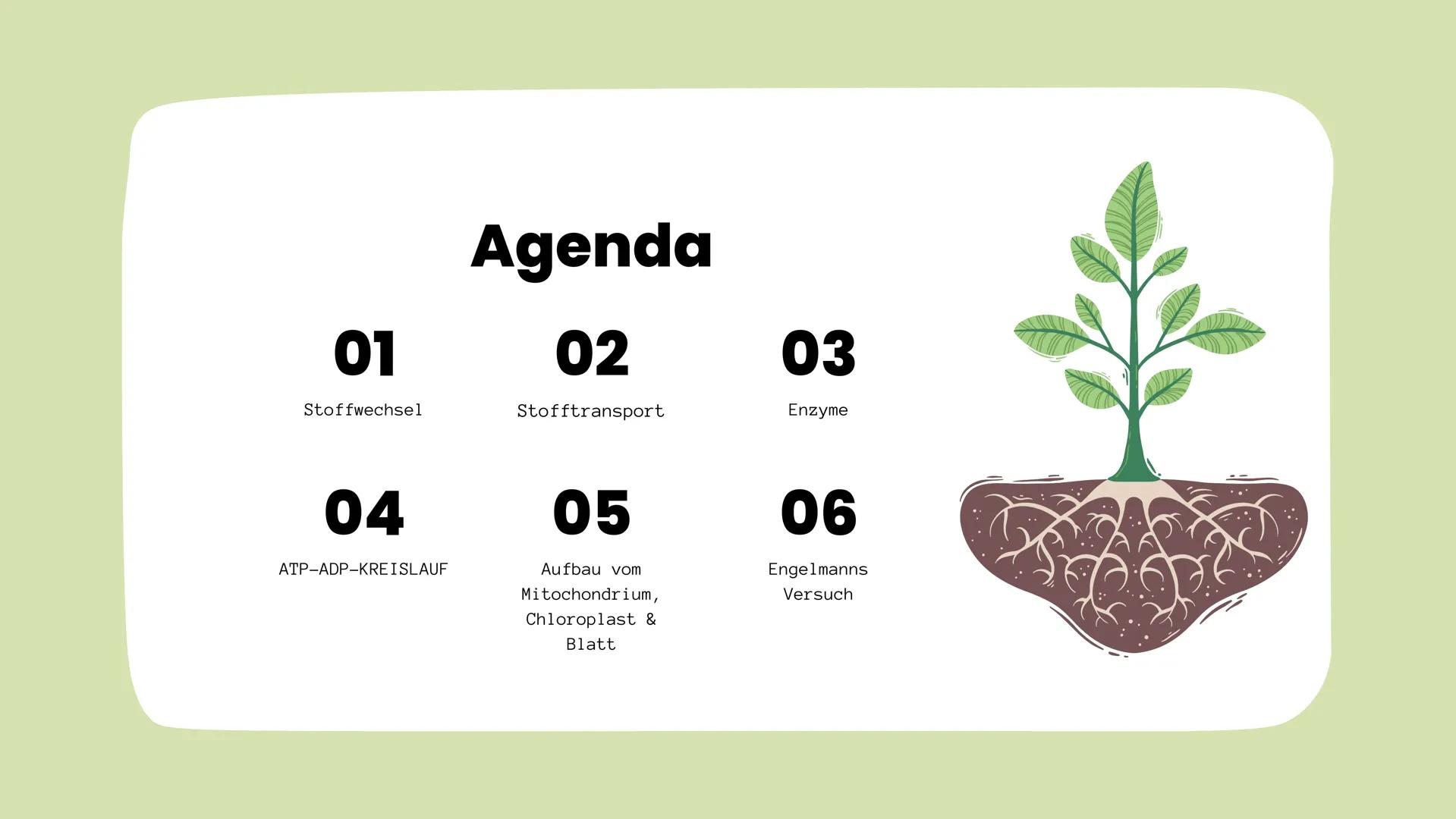 Der aufbauende und abbauende Stoffwechsel
STOFFWECHSEL-
PHYSIOLOGIE
Oxygen
(02)
Carbon
Dioxide
(CO2) # Agenda
01
Stoffwechsel
02
Stofftran