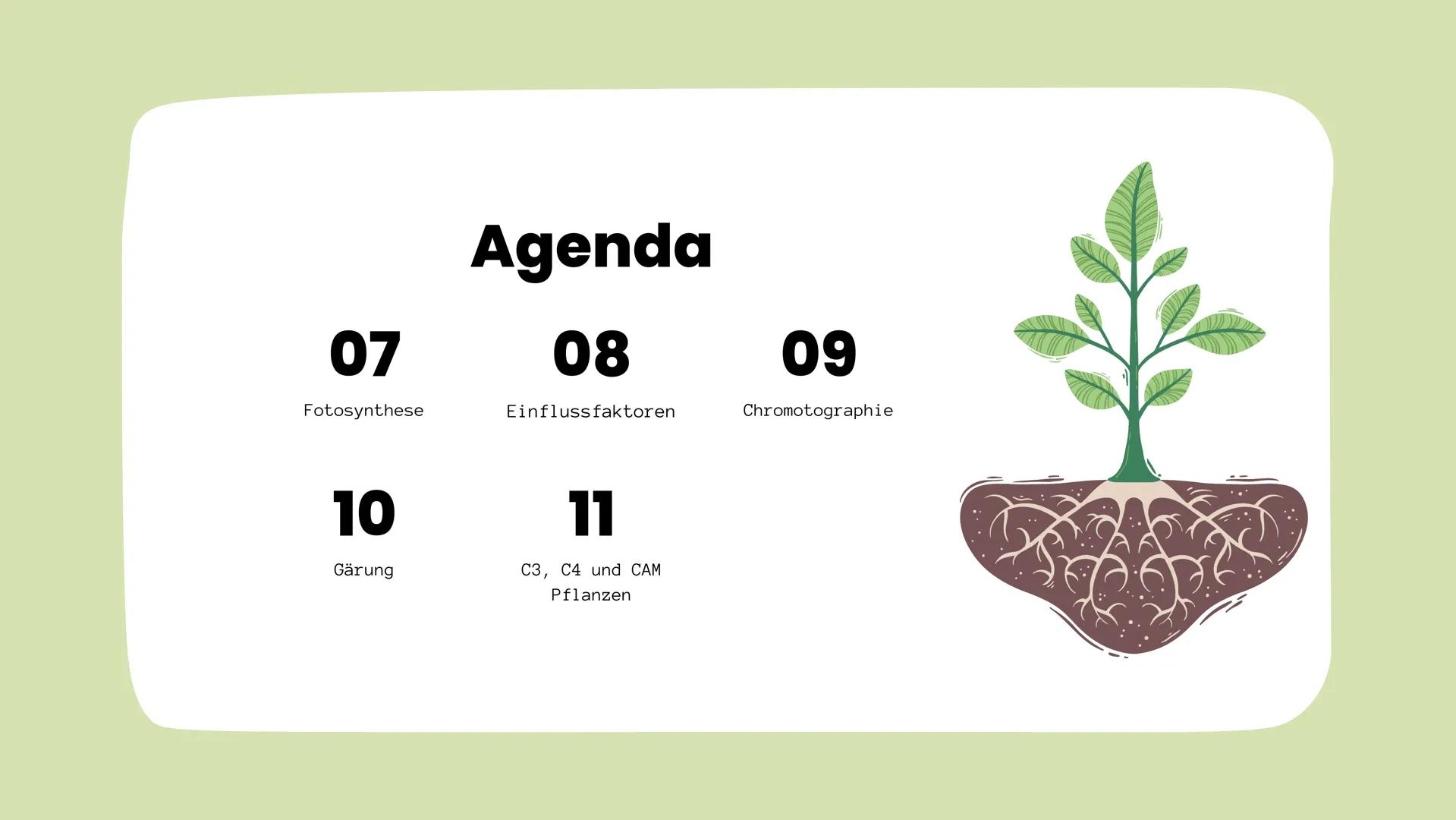 Der aufbauende und abbauende Stoffwechsel
STOFFWECHSEL-
PHYSIOLOGIE
Oxygen
(02)
Carbon
Dioxide
(CO2) # Agenda
01
Stoffwechsel
02
Stofftran