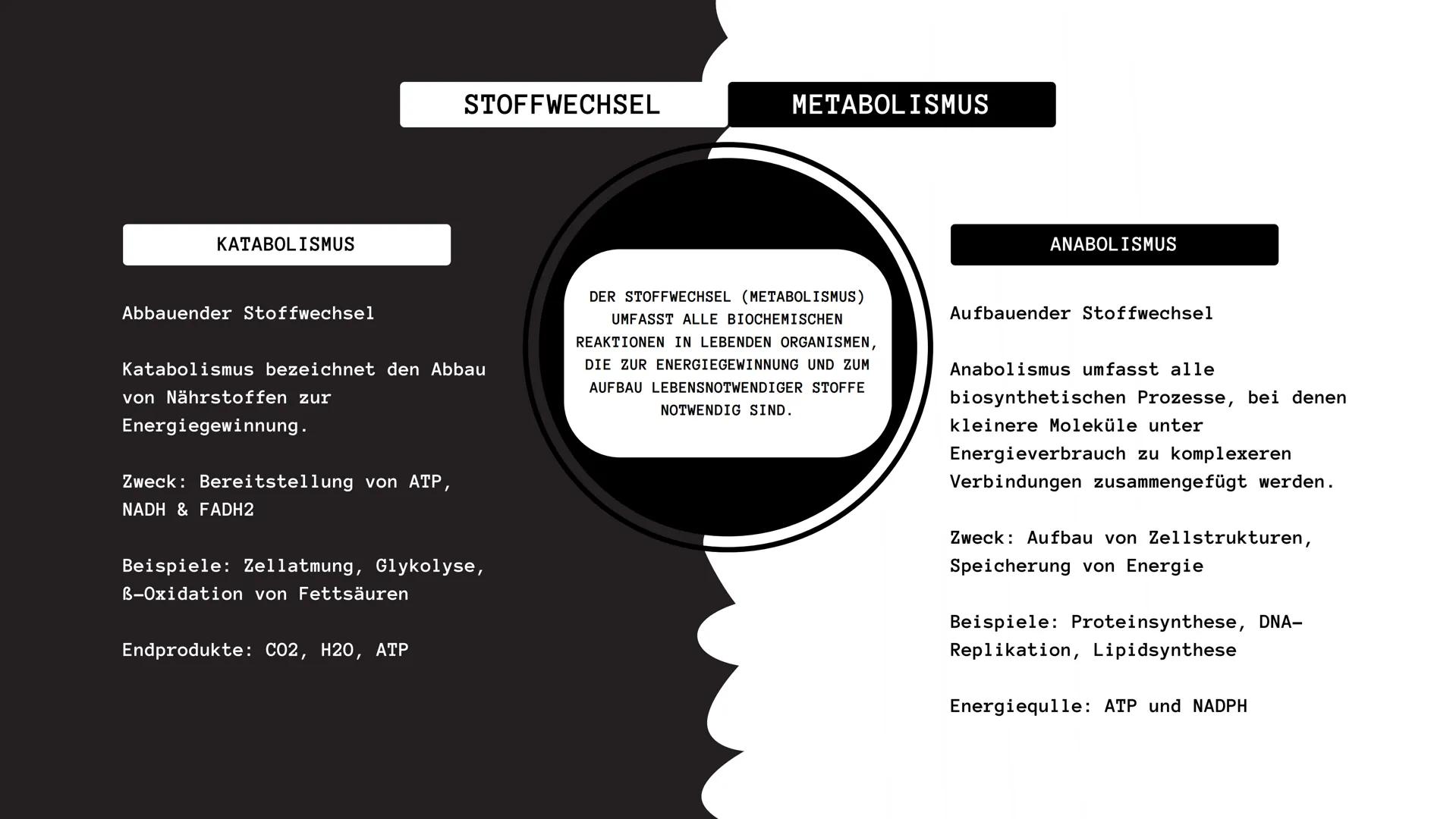 Der aufbauende und abbauende Stoffwechsel
STOFFWECHSEL-
PHYSIOLOGIE
Oxygen
(02)
Carbon
Dioxide
(CO2) # Agenda
01
Stoffwechsel
02
Stofftran