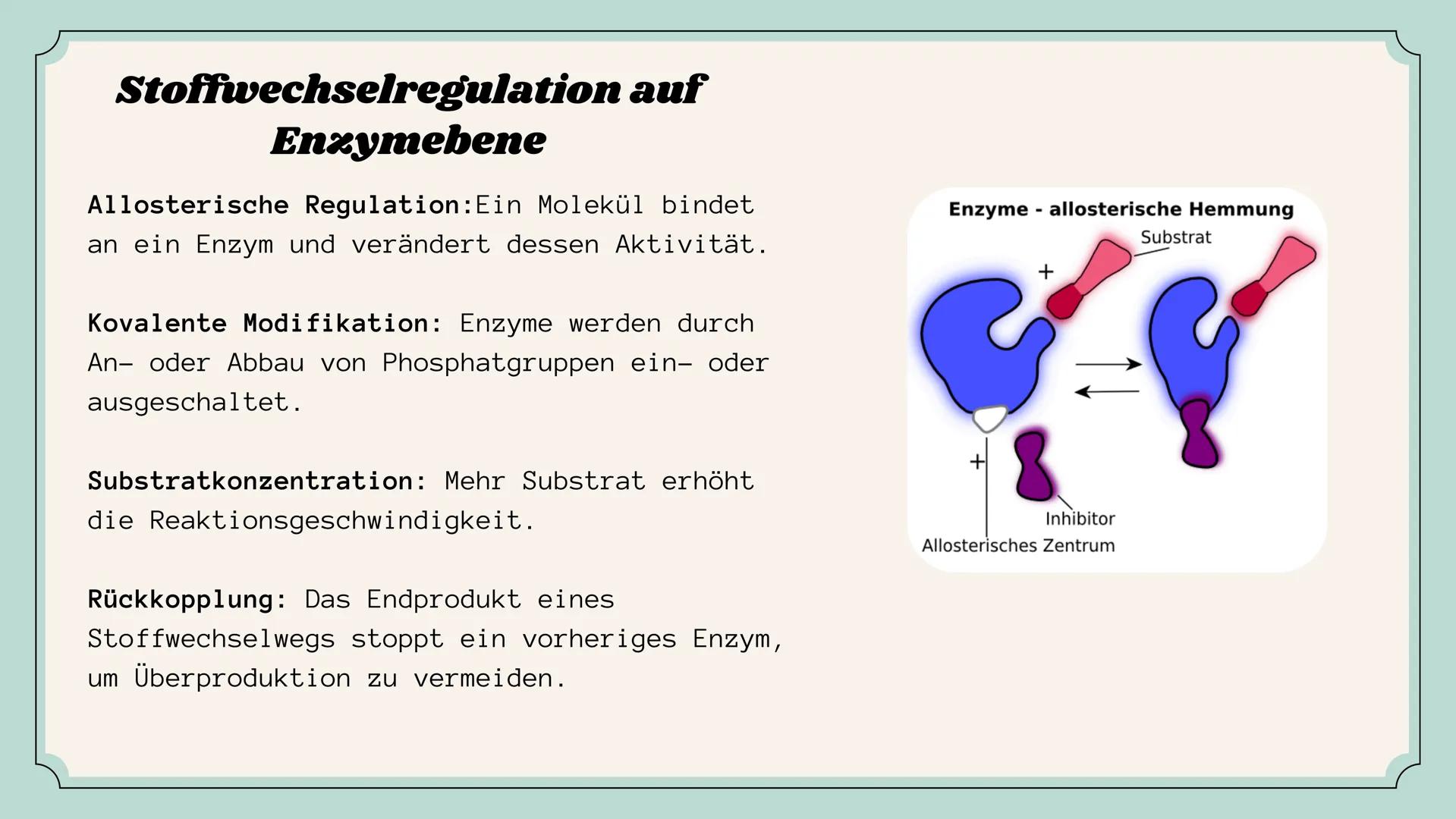 Der aufbauende und abbauende Stoffwechsel
STOFFWECHSEL-
PHYSIOLOGIE
Oxygen
(02)
Carbon
Dioxide
(CO2) # Agenda
01
Stoffwechsel
02
Stofftran