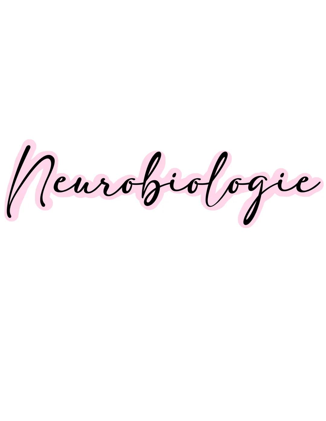 Neurobiologie --- OCR Start ---
Neurobiologic
Aufbau einer Nervenzelle
Zellkörper (Soma)
Zellkörper (Soma)
enthält Zellkern & andere Zellorg