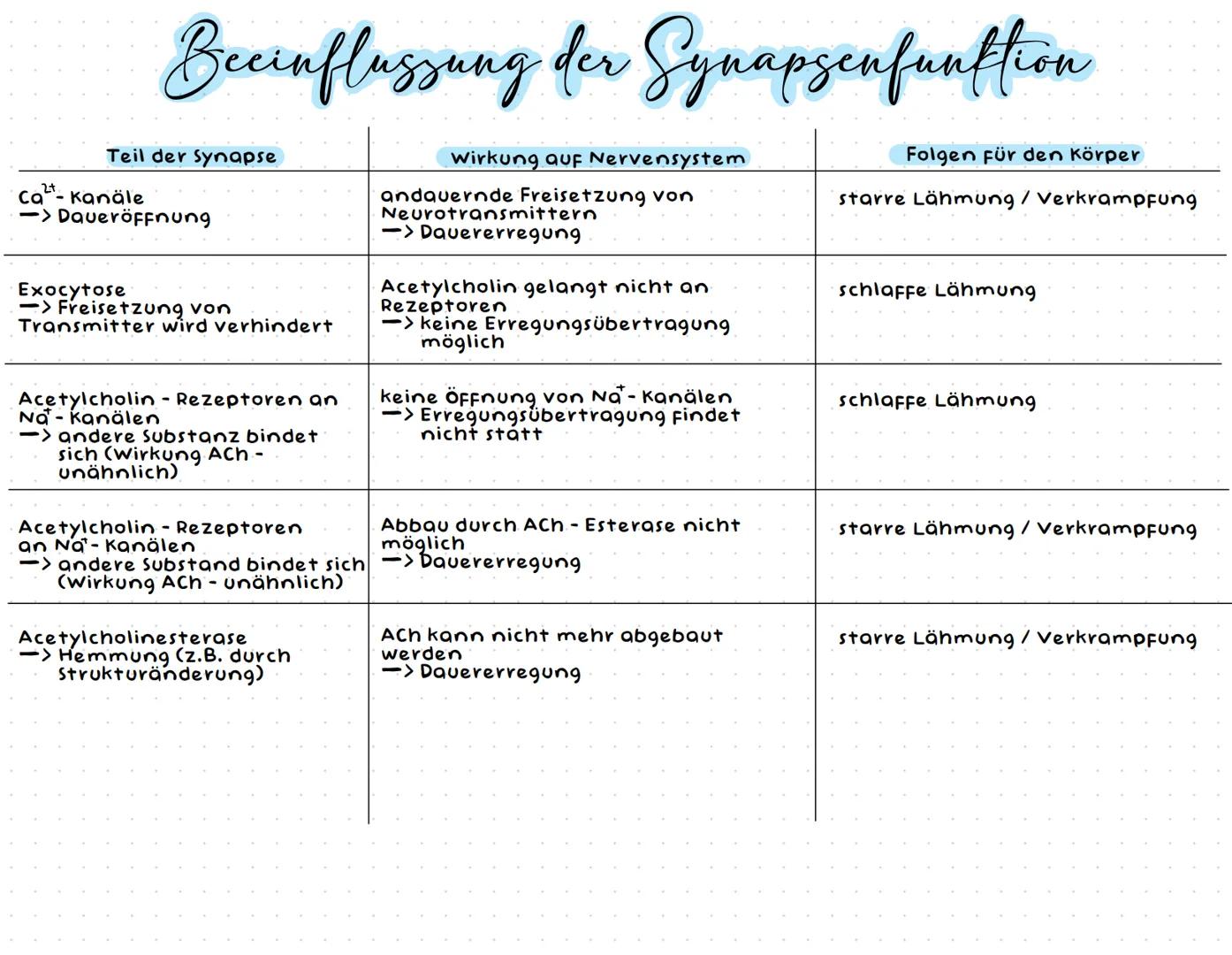 Neurobiologie --- OCR Start ---
Neurobiologic
Aufbau einer Nervenzelle
Zellkörper (Soma)
Zellkörper (Soma)
enthält Zellkern & andere Zellorg