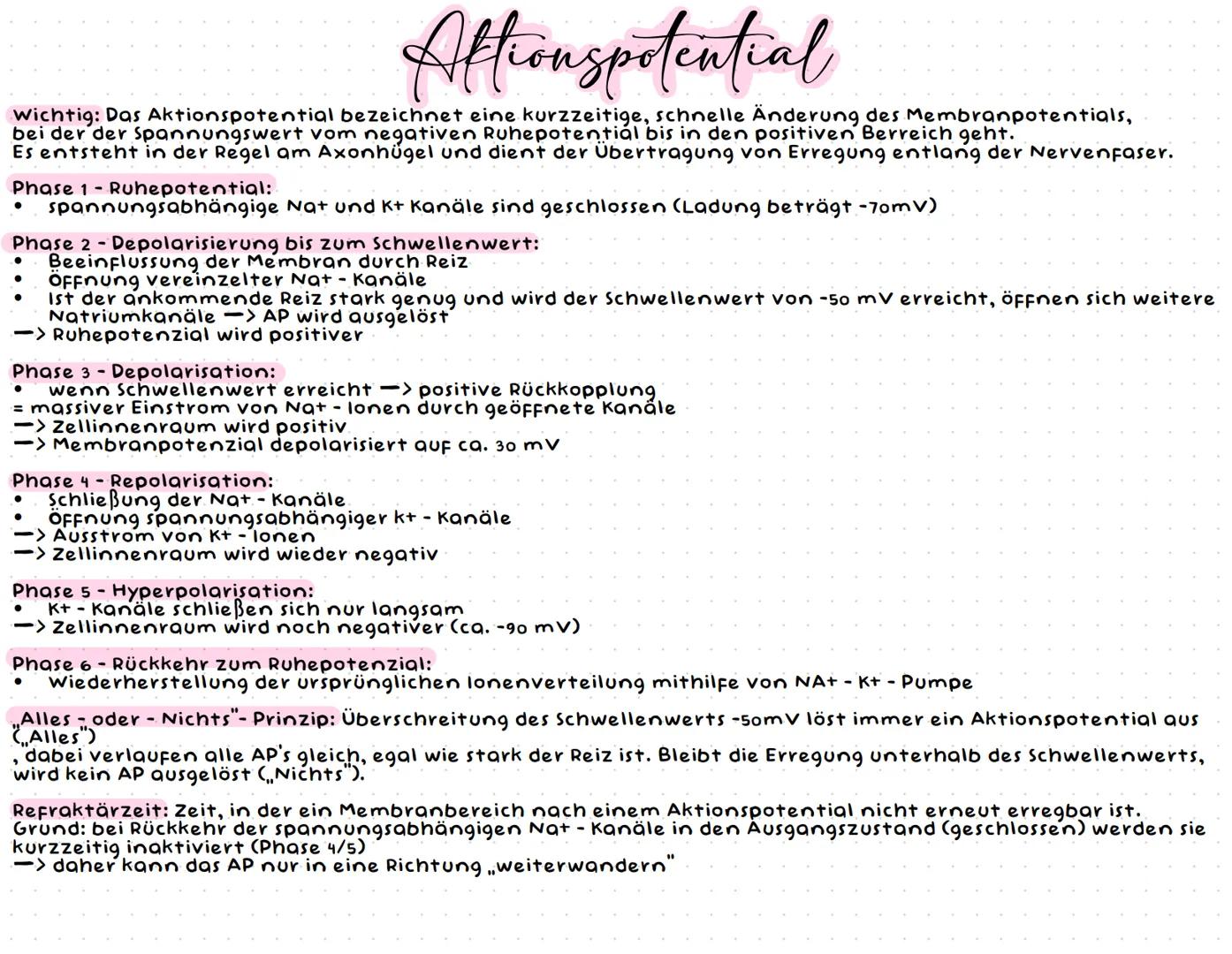 Neurobiologie --- OCR Start ---
Neurobiologic
Aufbau einer Nervenzelle
Zellkörper (Soma)
Zellkörper (Soma)
enthält Zellkern & andere Zellorg