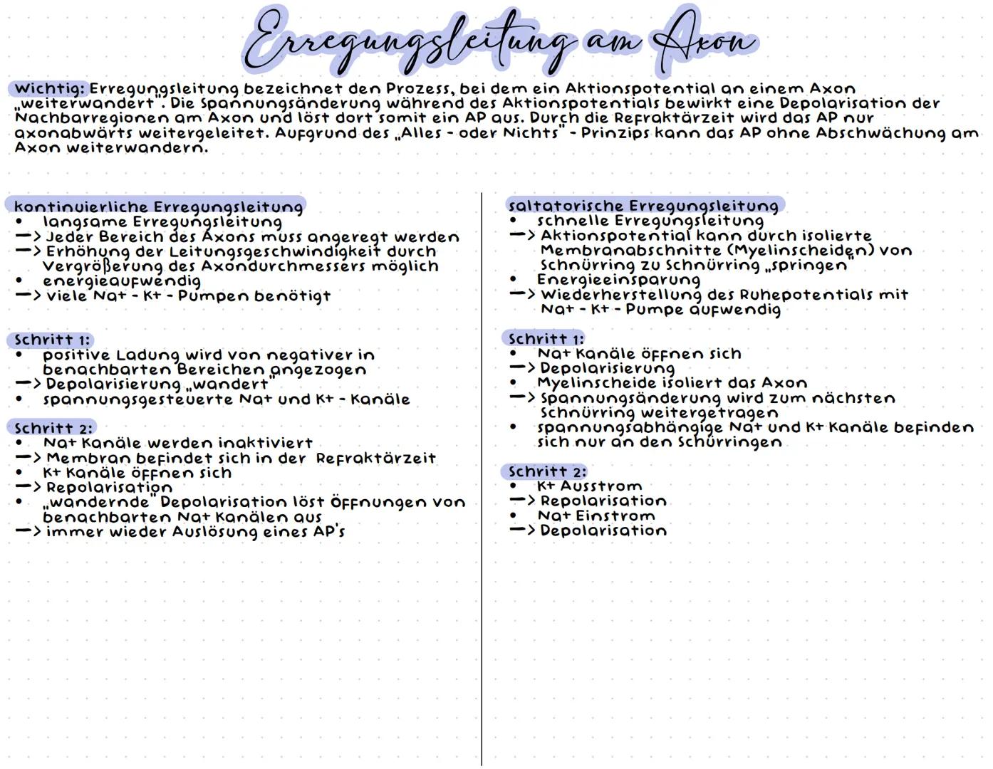 Neurobiologie --- OCR Start ---
Neurobiologic
Aufbau einer Nervenzelle
Zellkörper (Soma)
Zellkörper (Soma)
enthält Zellkern & andere Zellorg