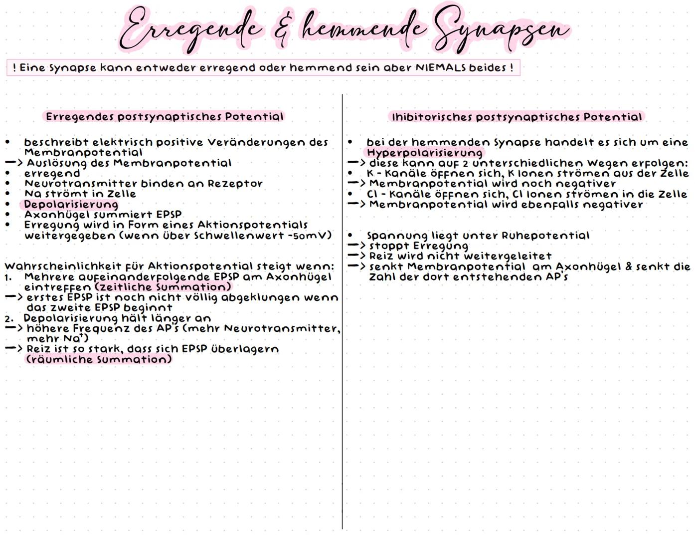 Neurobiologie --- OCR Start ---
Neurobiologic
Aufbau einer Nervenzelle
Zellkörper (Soma)
Zellkörper (Soma)
enthält Zellkern & andere Zellorg