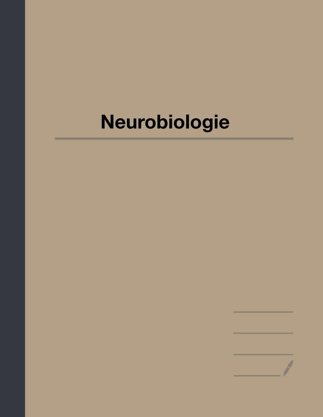BIO LK NRW ABI 2025 Neurobiologie