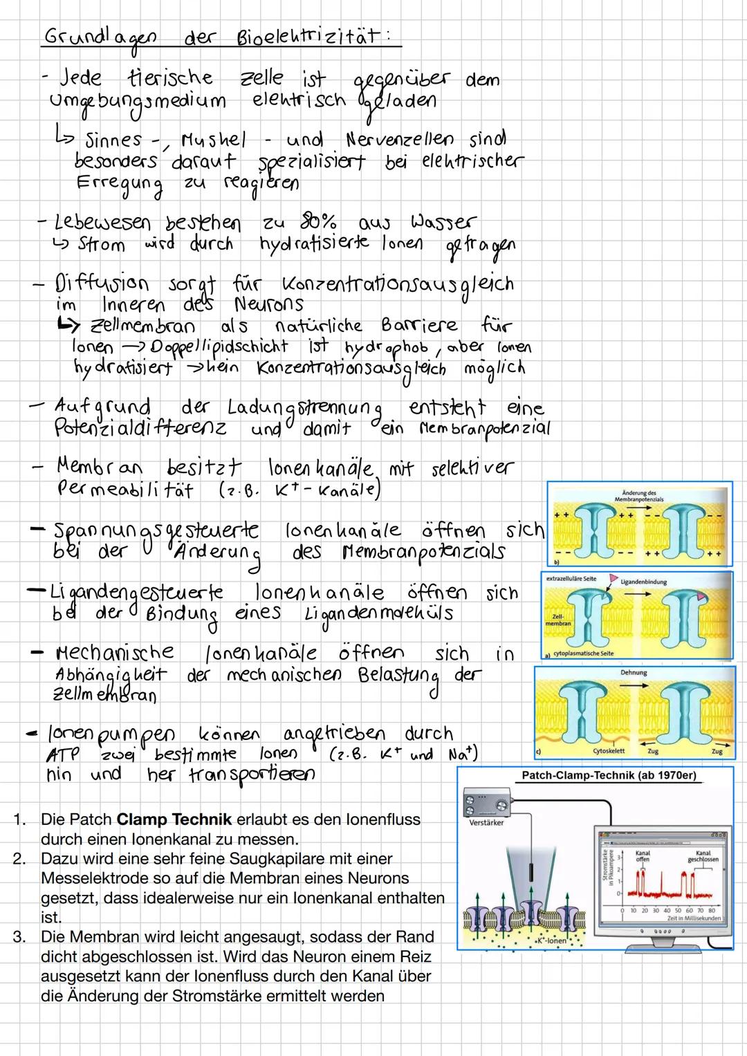 # Neurobiologie # Inhaltsverzeichnis
*   Nervensystem Aufbau
*   Bau und Funktion von Nervenzellen
*   Biomembran
*   Bioelektrizität
*   R