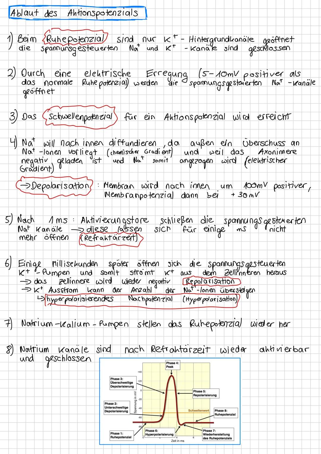 # Neurobiologie # Inhaltsverzeichnis
*   Nervensystem Aufbau
*   Bau und Funktion von Nervenzellen
*   Biomembran
*   Bioelektrizität
*   R