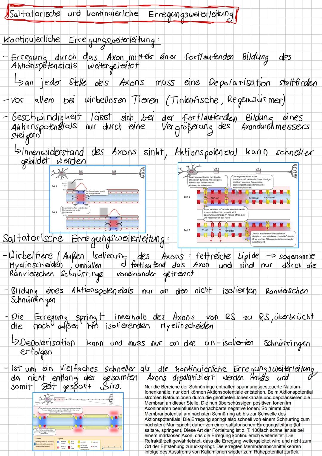 # Neurobiologie # Inhaltsverzeichnis
*   Nervensystem Aufbau
*   Bau und Funktion von Nervenzellen
*   Biomembran
*   Bioelektrizität
*   R