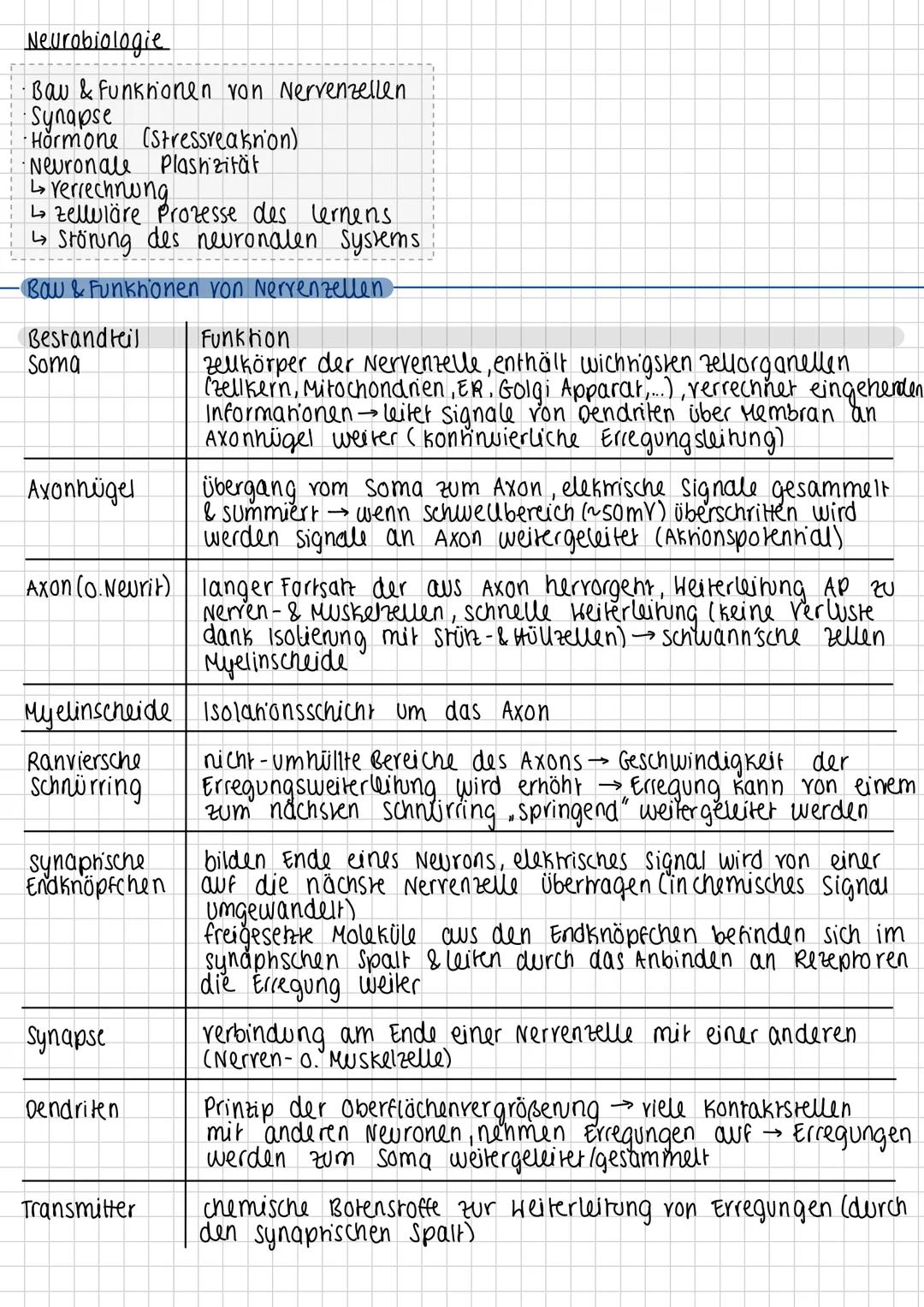 Neurobiologie Biologie Abitur NRW 2025