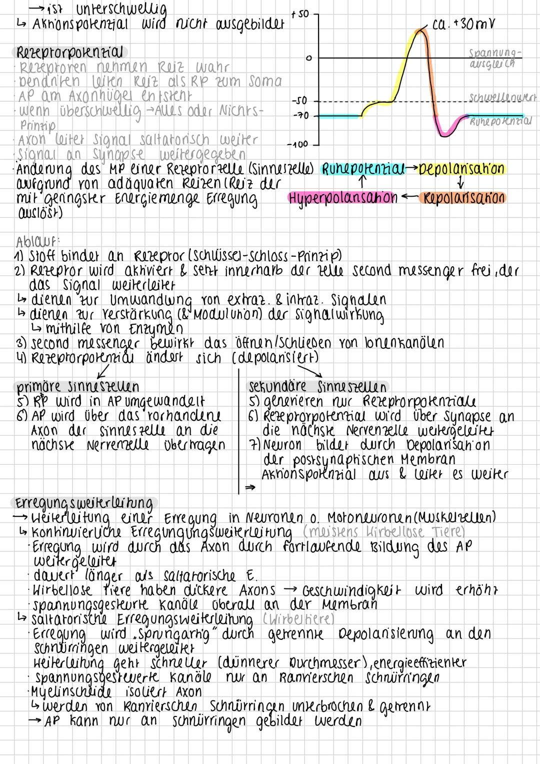 --- OCR Start ---
Membranpotenzial
elektrische Spannung durch Ladungsunterschied im extra- & inrazellulären
Raum
Runepolenzial
→Membranpoten