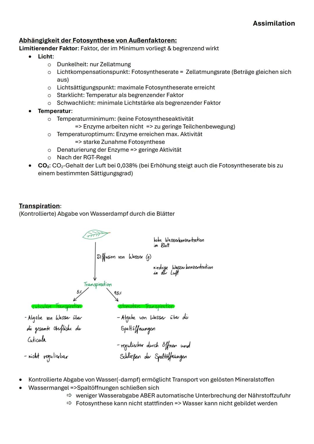 Assimilation
Das bifaziale Laubblatt Querschnitt:
| Struktur | Funktion |
|---|---|
| 1,6 Kutikula | Verdunstungsschutz |
| 2,5 Obere und u